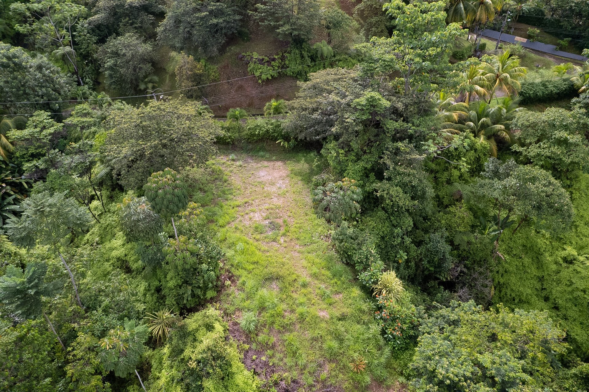 Lot in Calle Perezoso