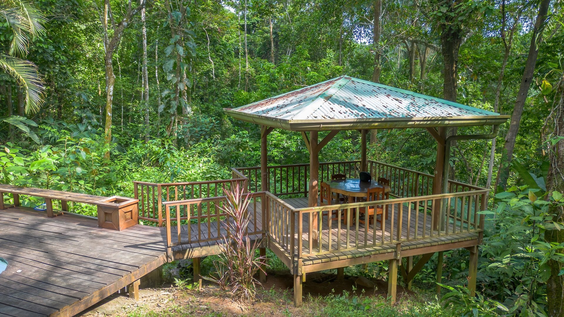 Private Jungle Oasis! 1 Bed, 1 Bath Hatillo Haven