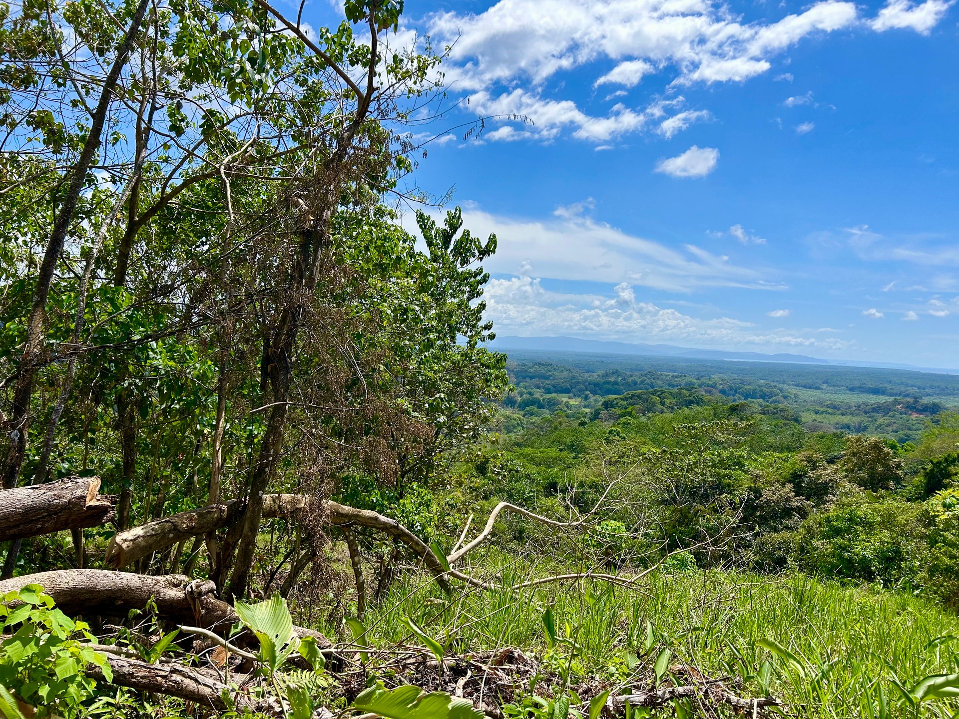 Price Reduced! Ocean View Lots in San Buenas – Just $70K Each