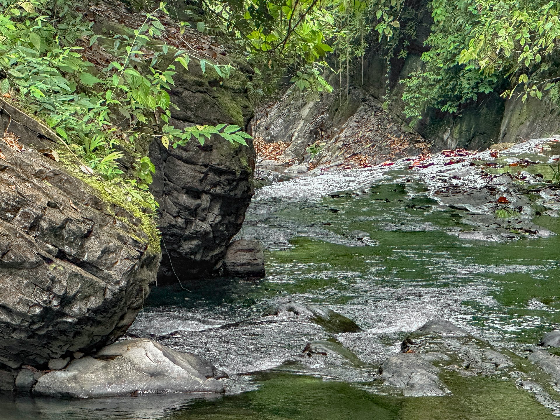 River & Waterfall Property With a BRAND-NEW Jungle-View Luxury Home on a Massive 4.32 Acre Lot – PLUS an Additional Plantel ready for Development