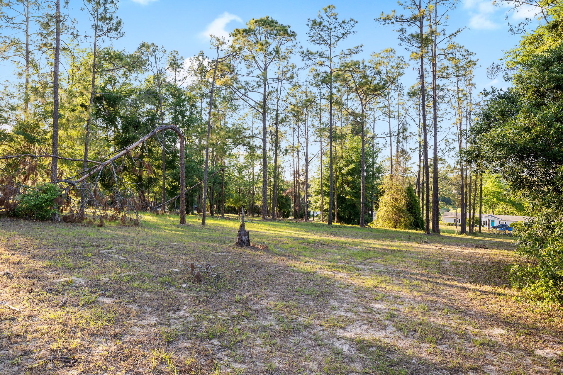 13721 MCINTOSH DR