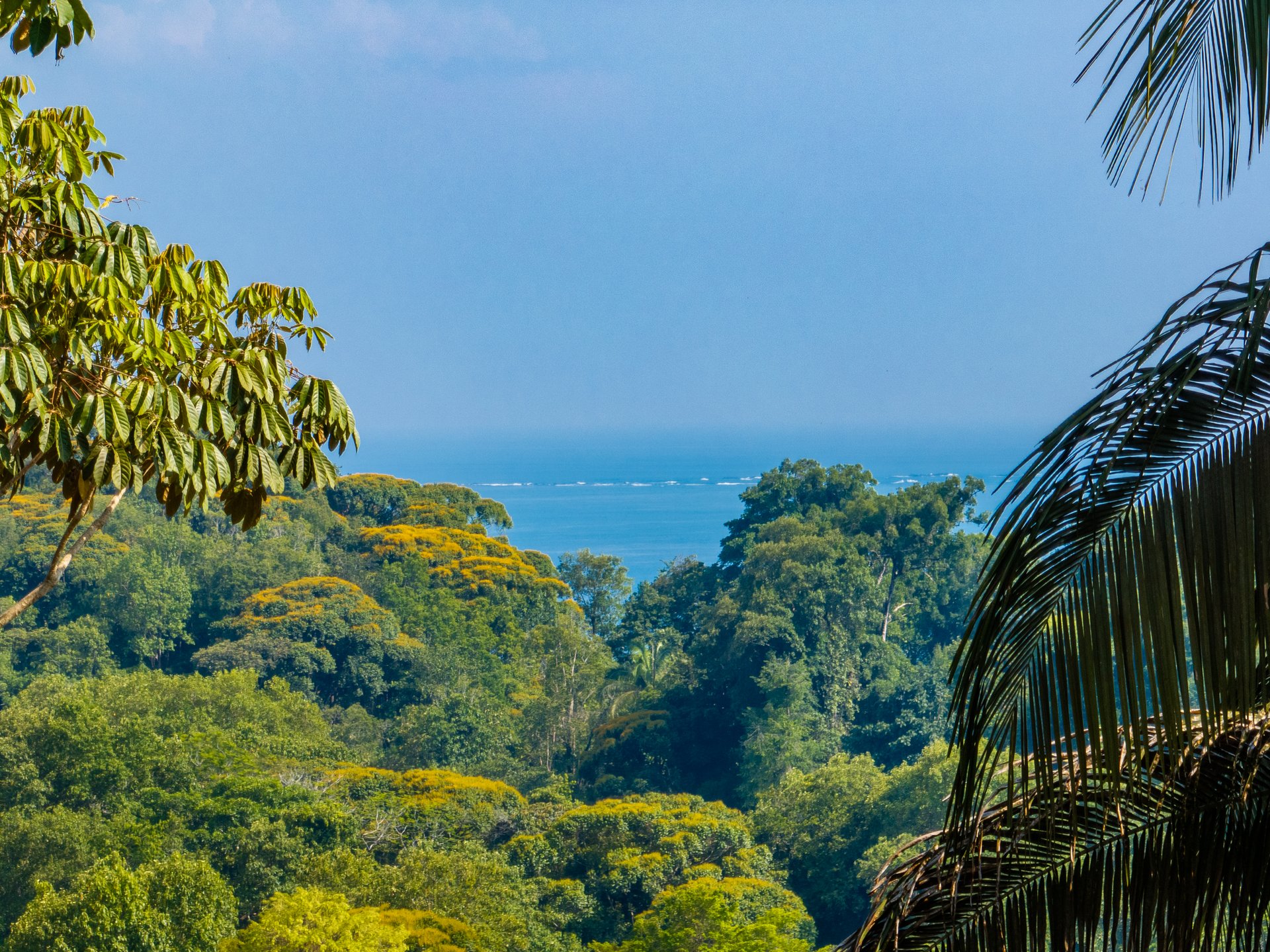 Uvita Las Colinas Prime Ocean View Lot #1