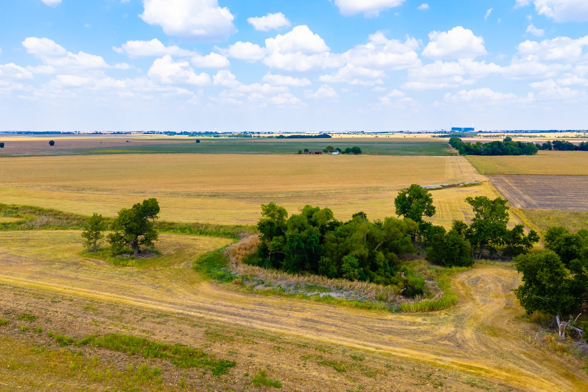 272 Acres at FM 1660 & FM 973, Just South of Samsung - Taylor, TX