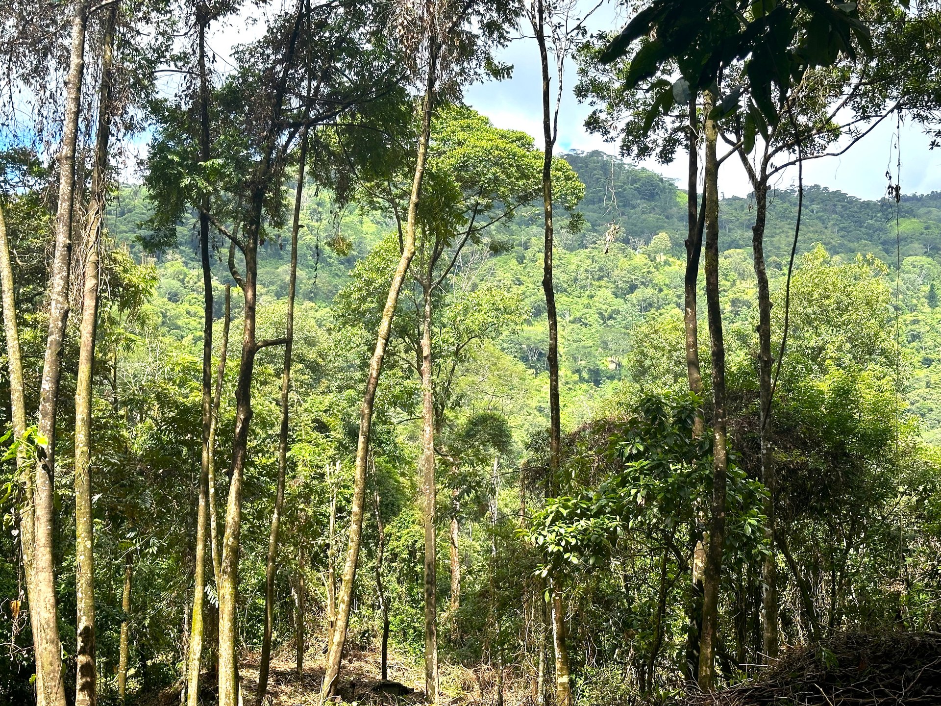 Mountain View Building Lot in Prestigious Gated Community With Private Waterfall & Two Building Sites