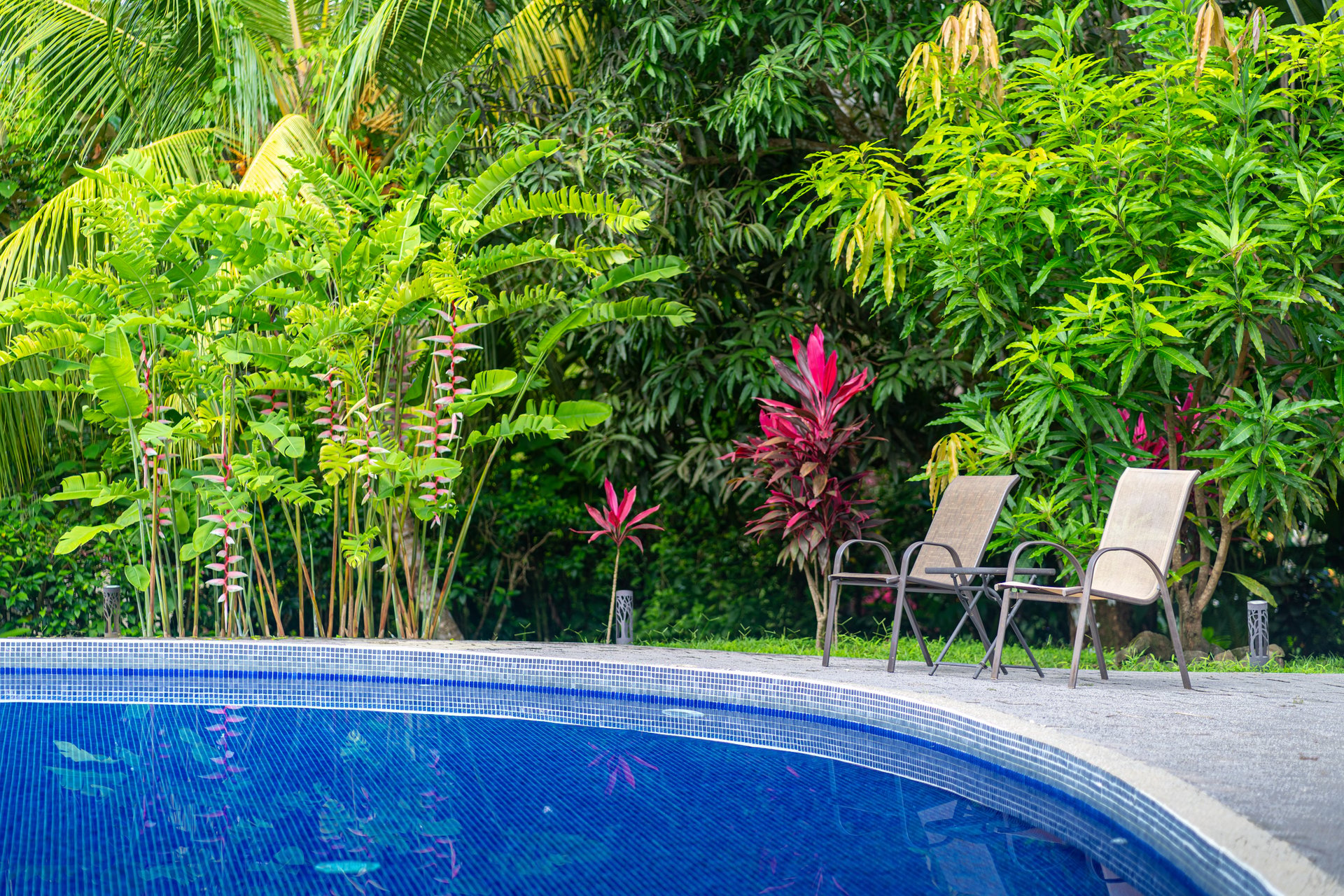 Casa Luna, 3bed /3bath Private Oasis, Convenient Location