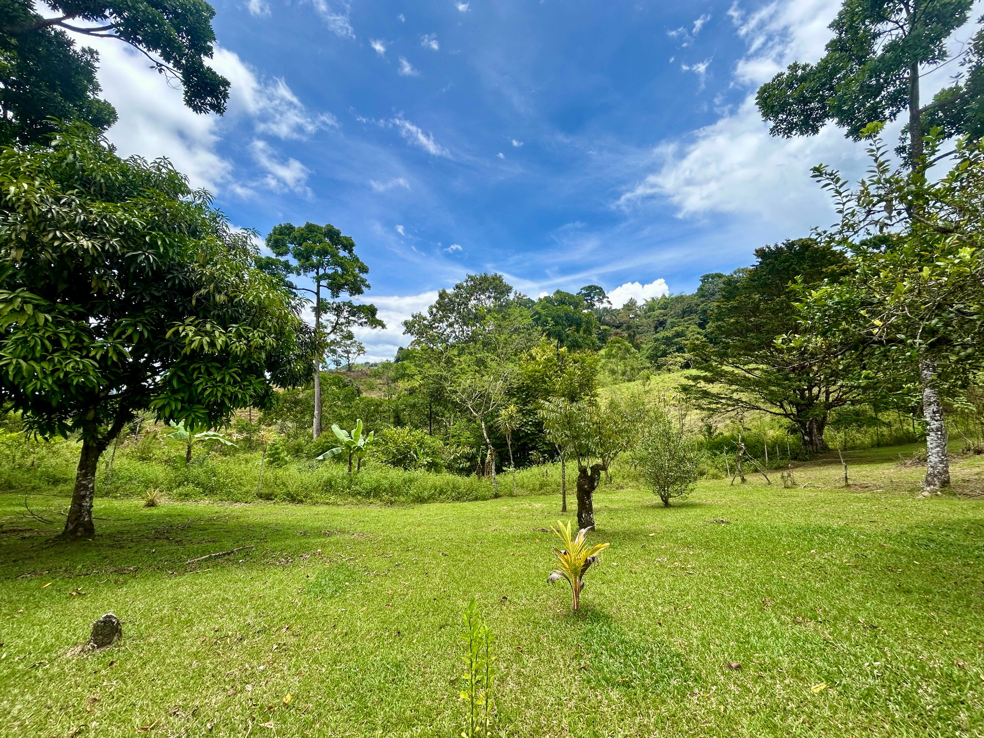 Spring, Waterfalls and more!  Farm in San Vito Limoncito!