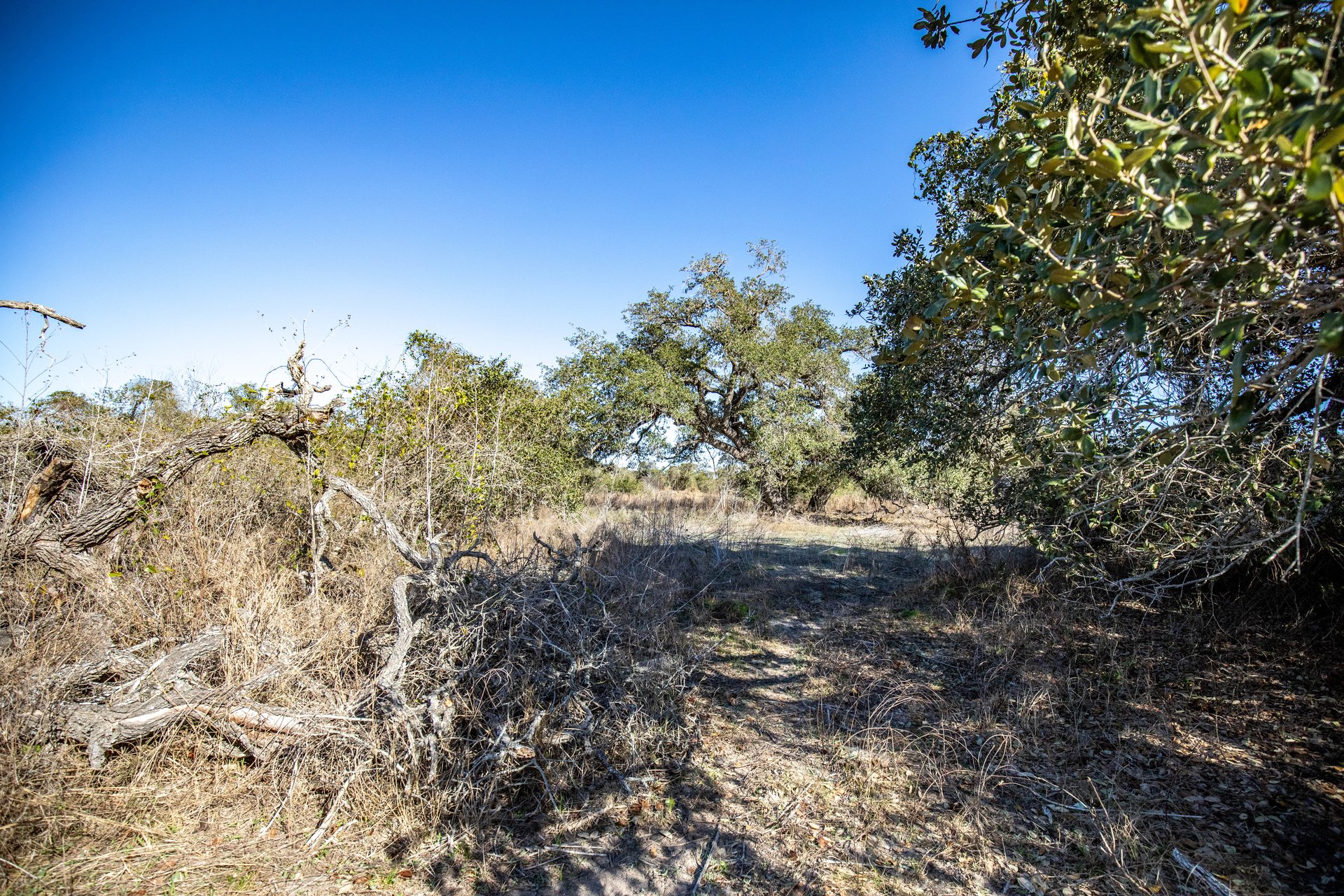 Lamar Peninsula Development Tract |  51.81± Acres | Aransas County