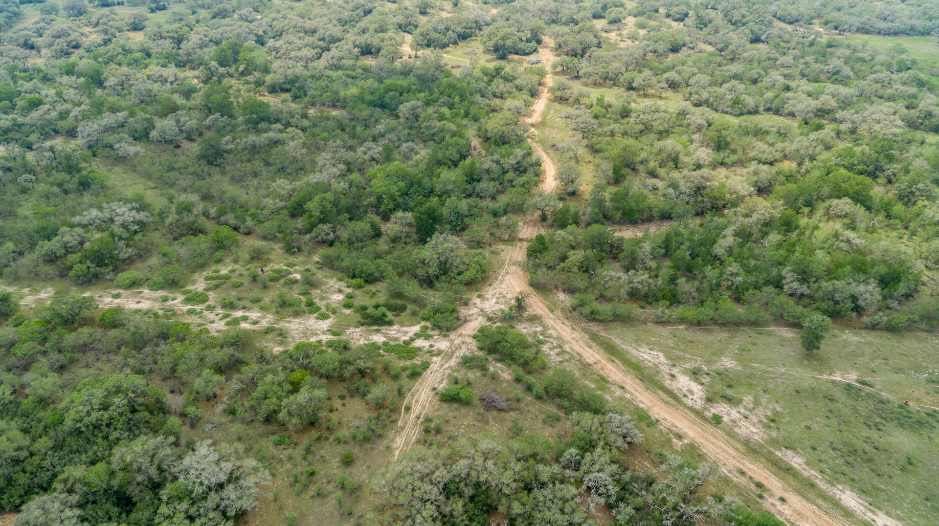 Five Mile Creek Reserve | 252.73± Acres-High Fence | DeWitt County, TX