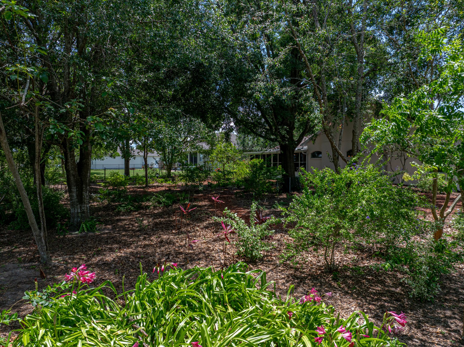 11530 ARLHUNA WAY