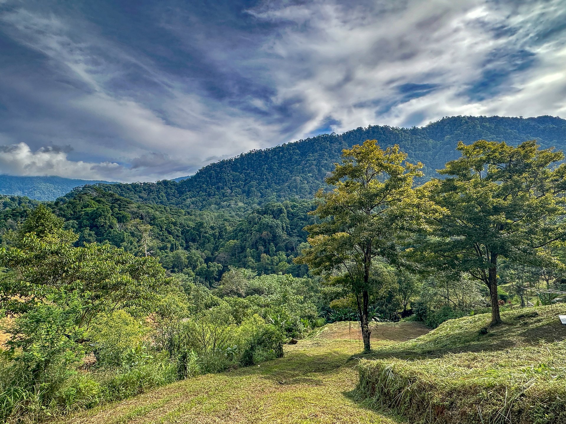 River & Waterfall Property With a BRAND-NEW Jungle-View Luxury Home on a Massive 4.32 Acre Lot – PLUS an Additional Plantel ready for Development