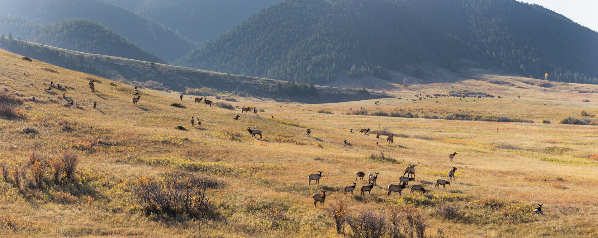 Box Elder Ranch