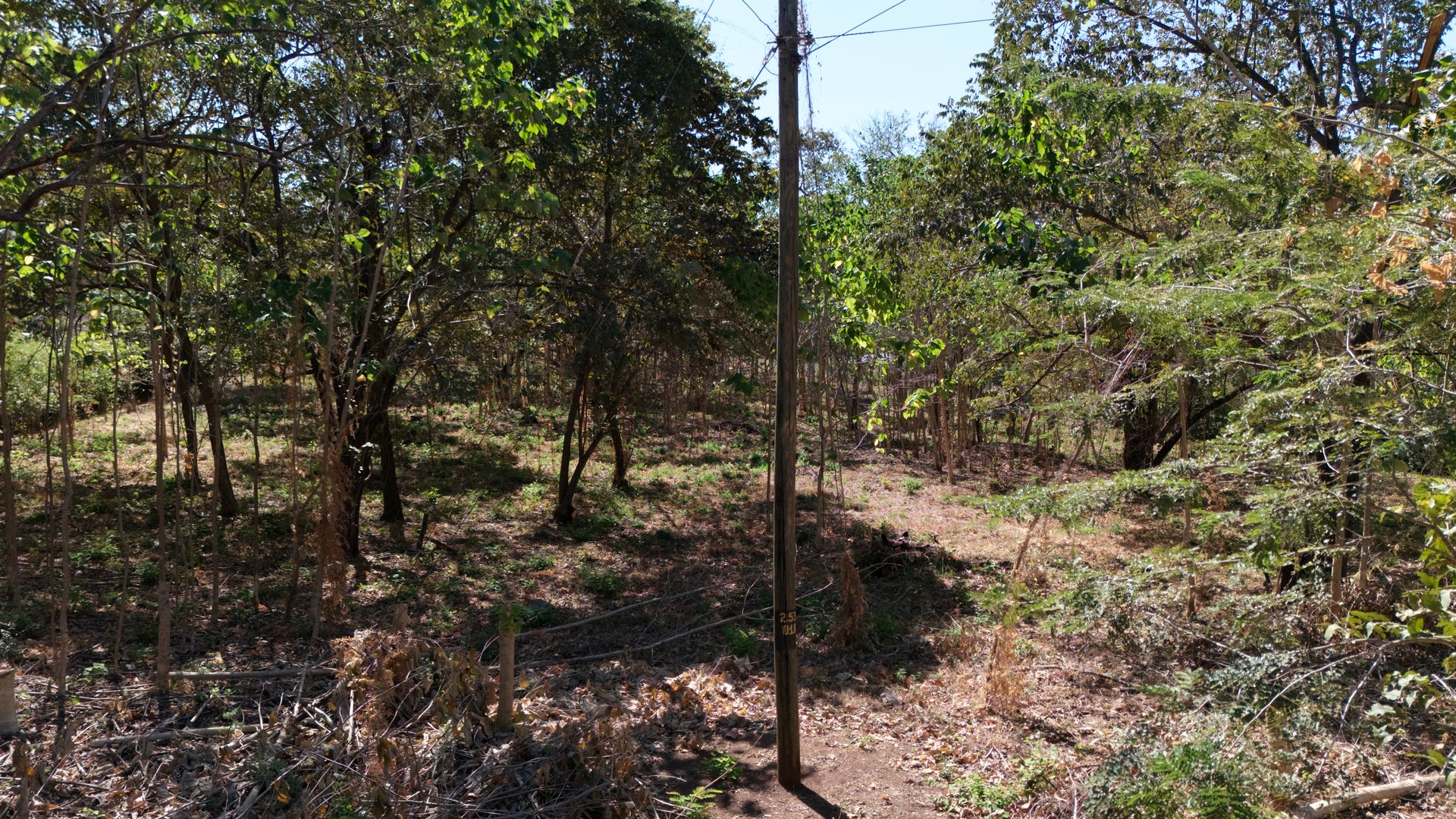 Beautiful 1.46-Acre Lot in Playa Grande