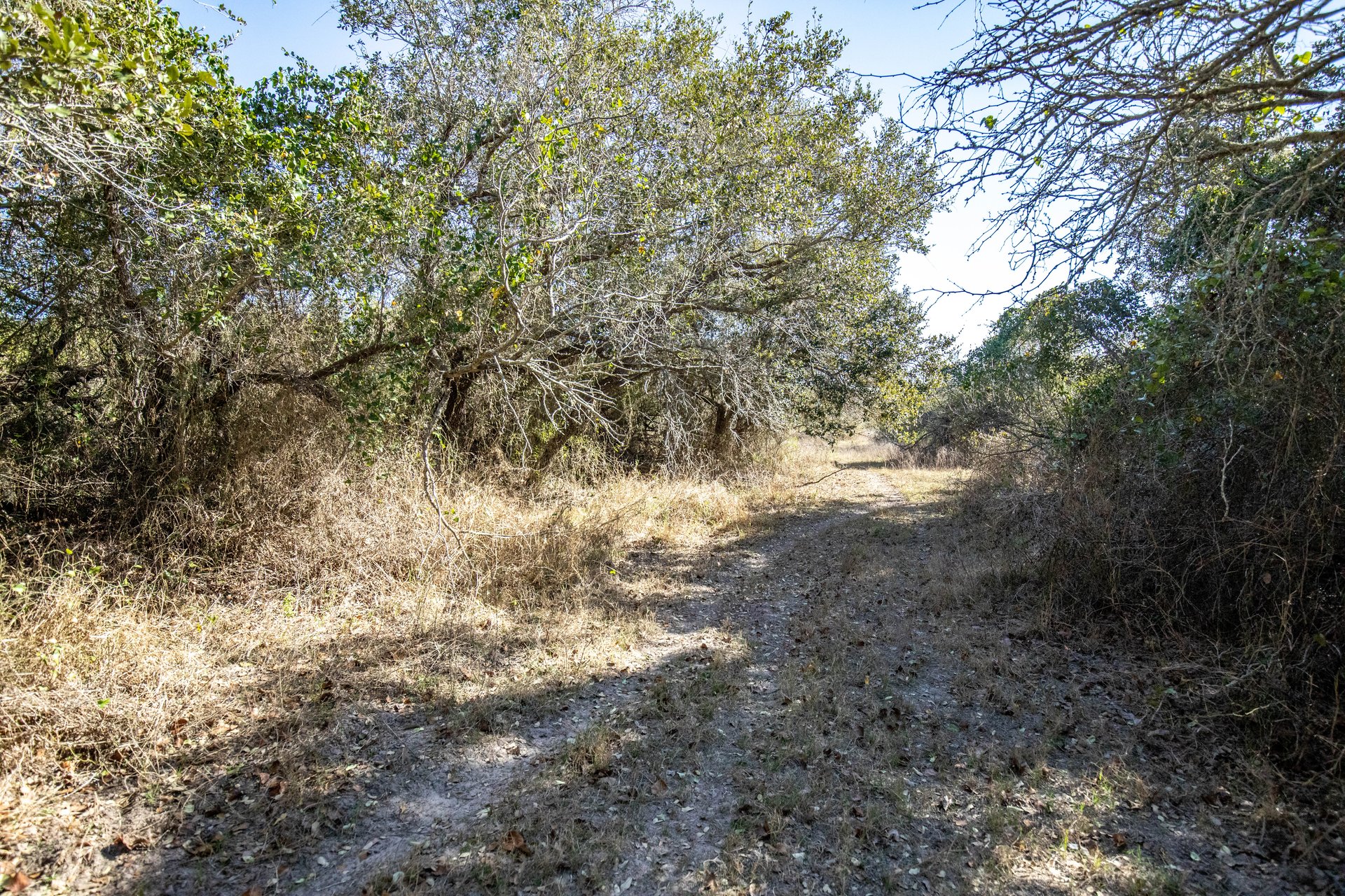 Lamar Peninsula Development Tract |  51.81± Acres | Aransas County