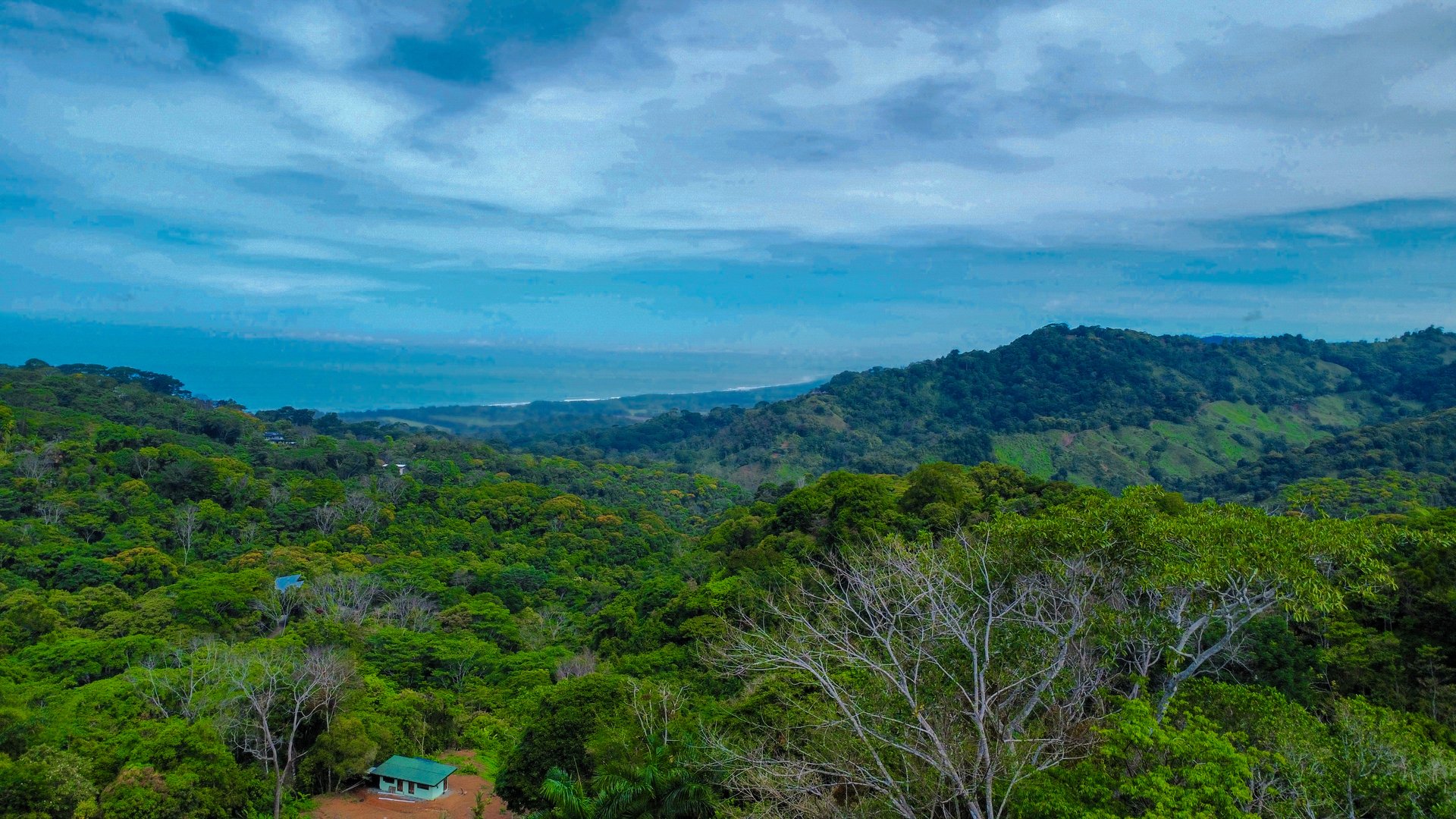 3.6 Acre Ocean View, Near the Beach & Cool Mountain Elevation