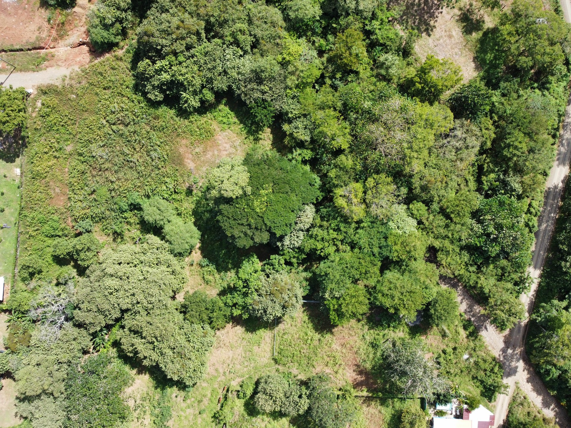 Private Jungle Estate Land in Vistas de Flamingo, Guanacaste, Costa Rica
