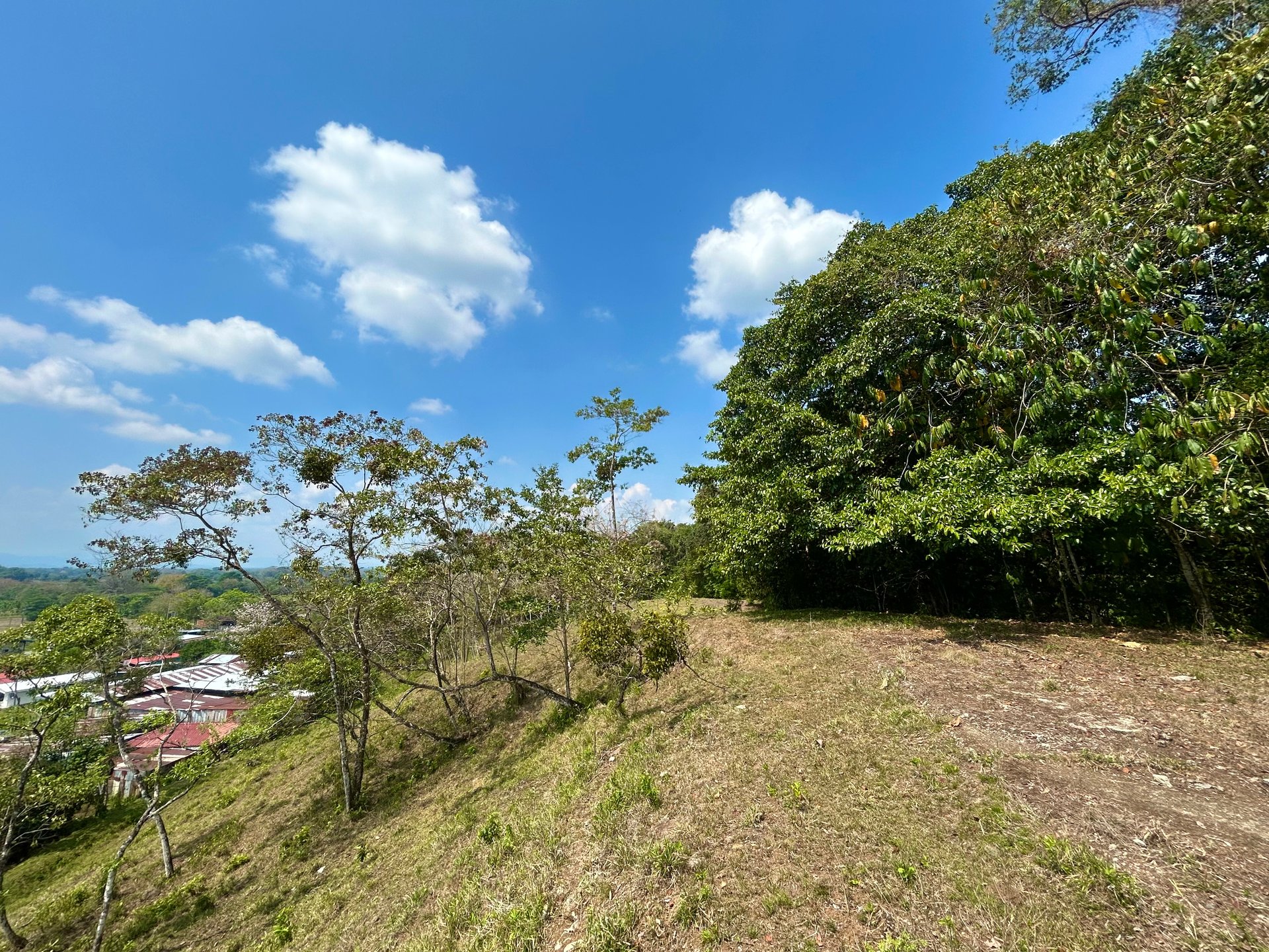 Mix Use Land in Palmar Norte with Costanera Access and Several Potential Building Sites - Over 10 Acres