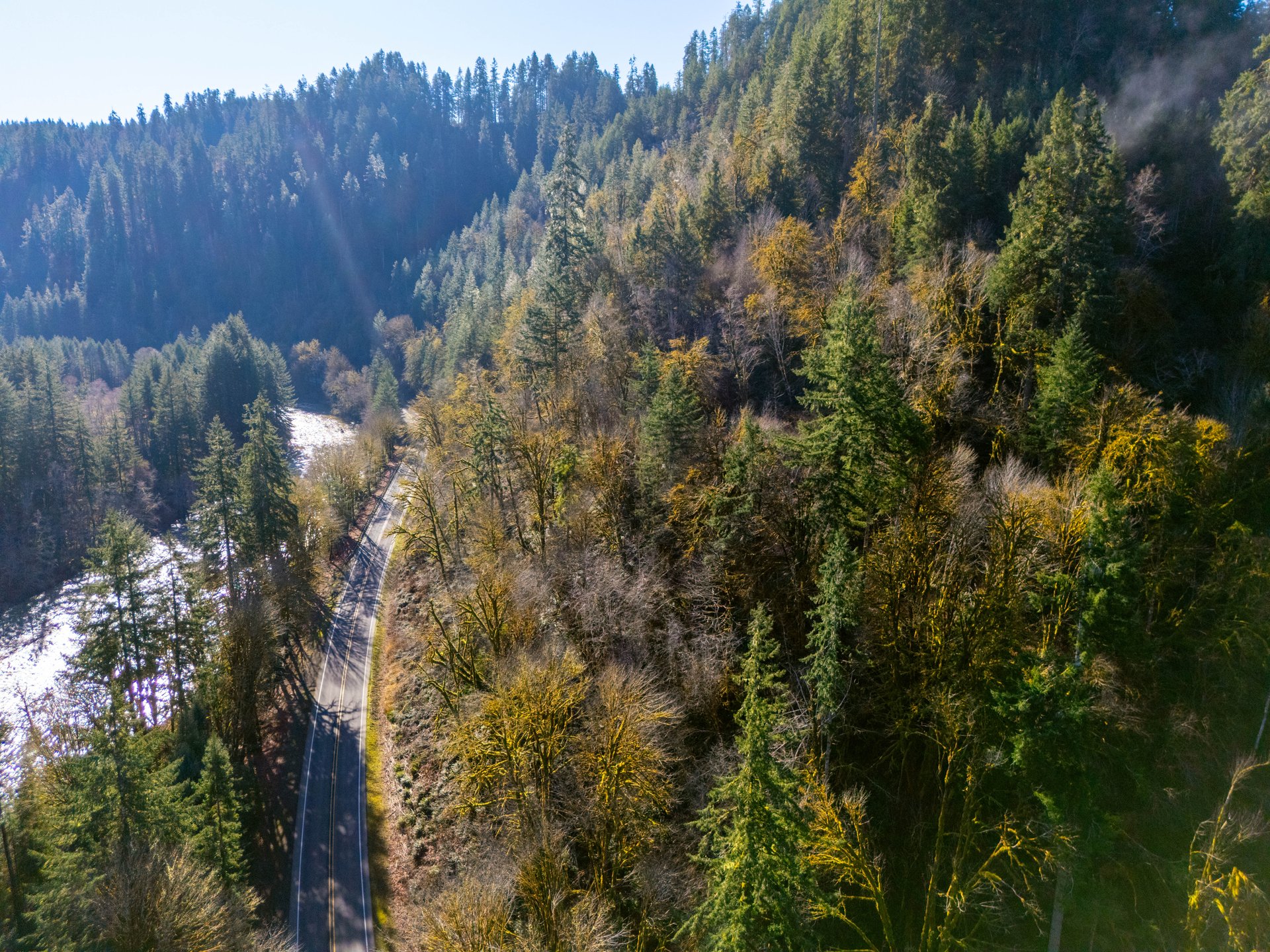 Waite Creek Woodlands