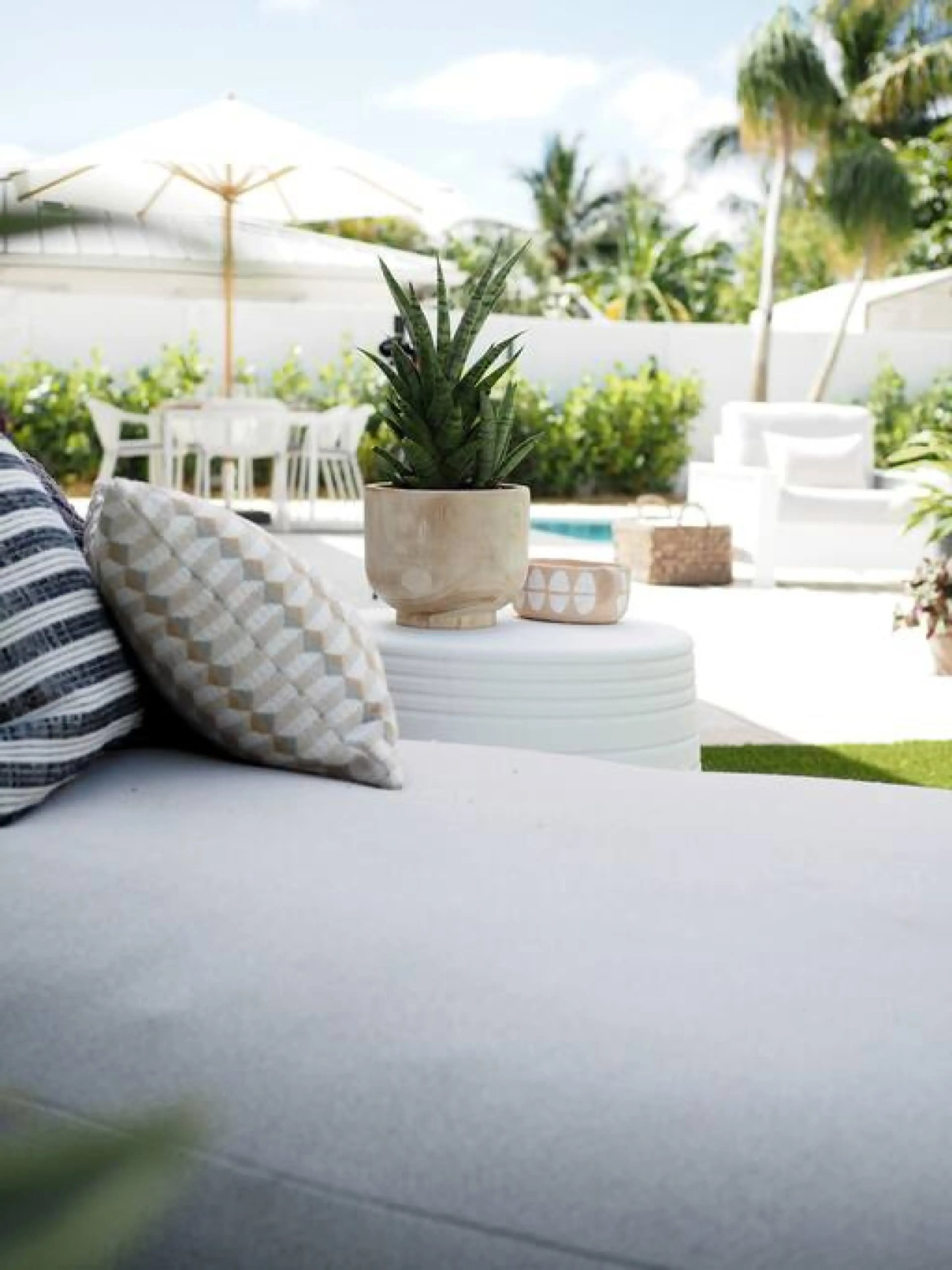  Luxury Mellow Marlin