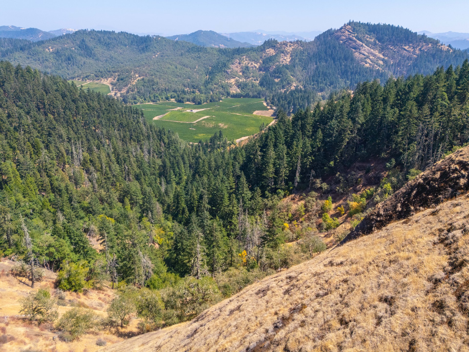 STRICKLAND BOULDER FOREST