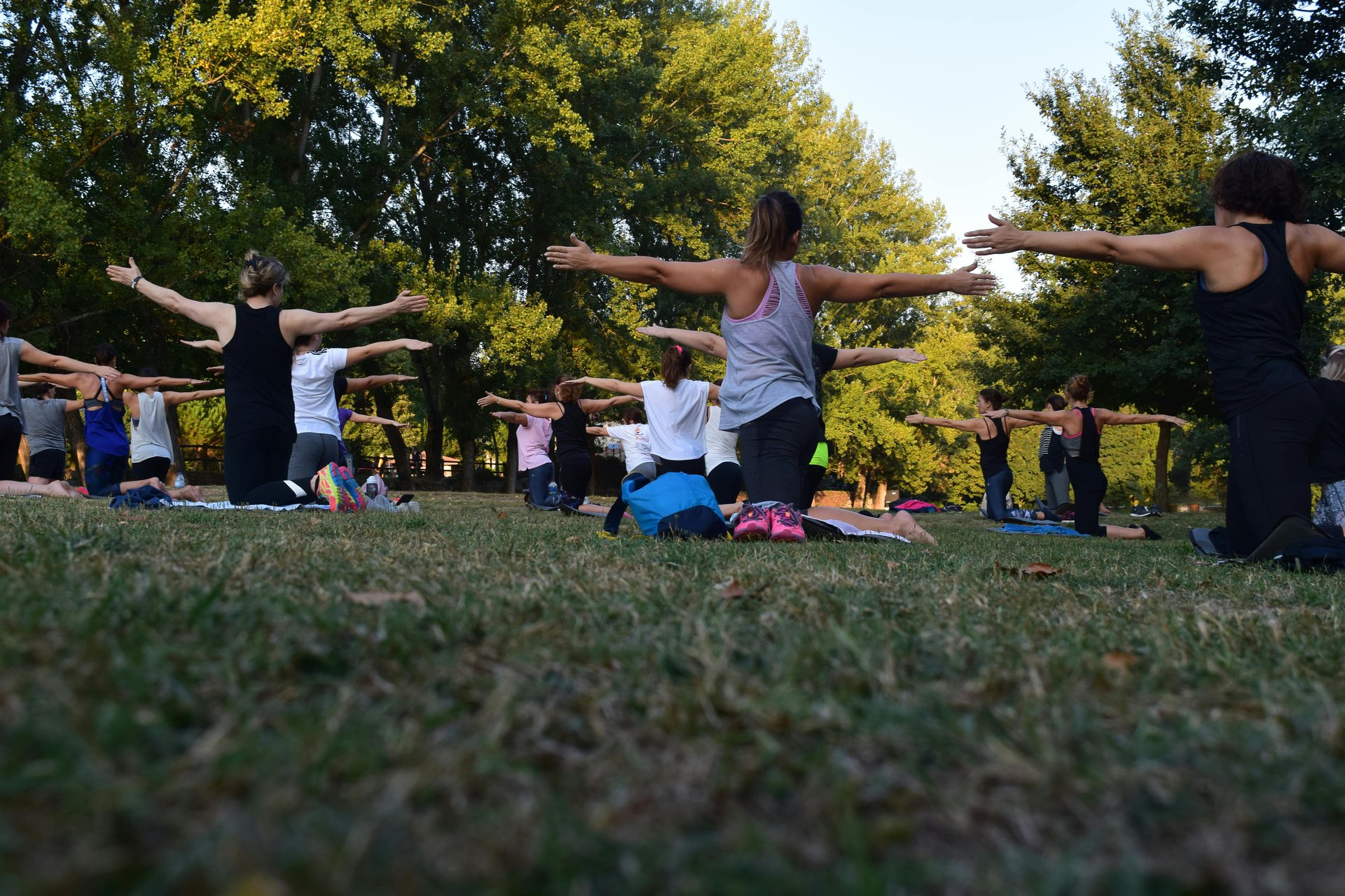 A group of people practicing yoga outdoors, stretching with arms extended, surrounded by greenery.