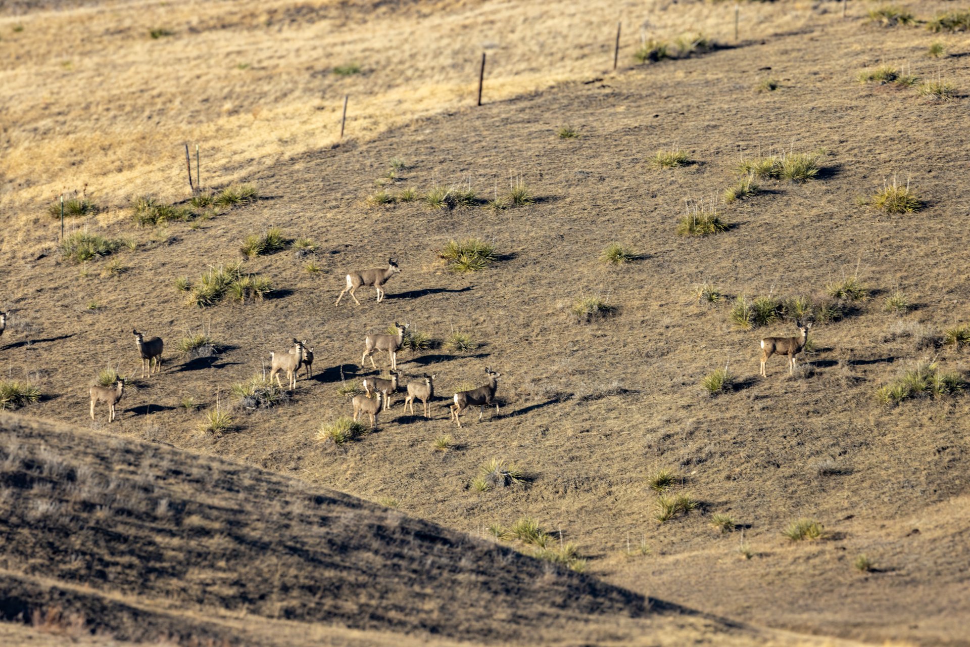 Prairie Rise Ranch