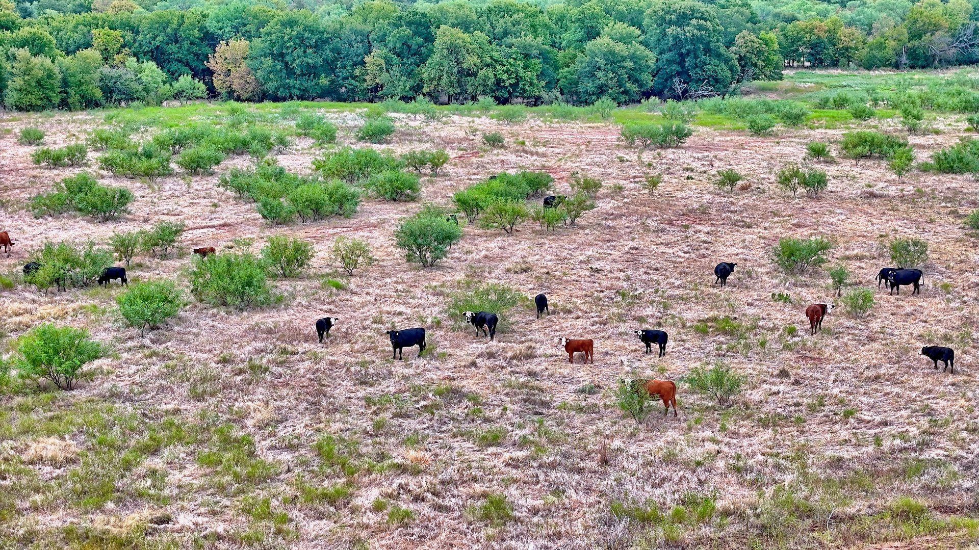 Cross Creek Ranch 