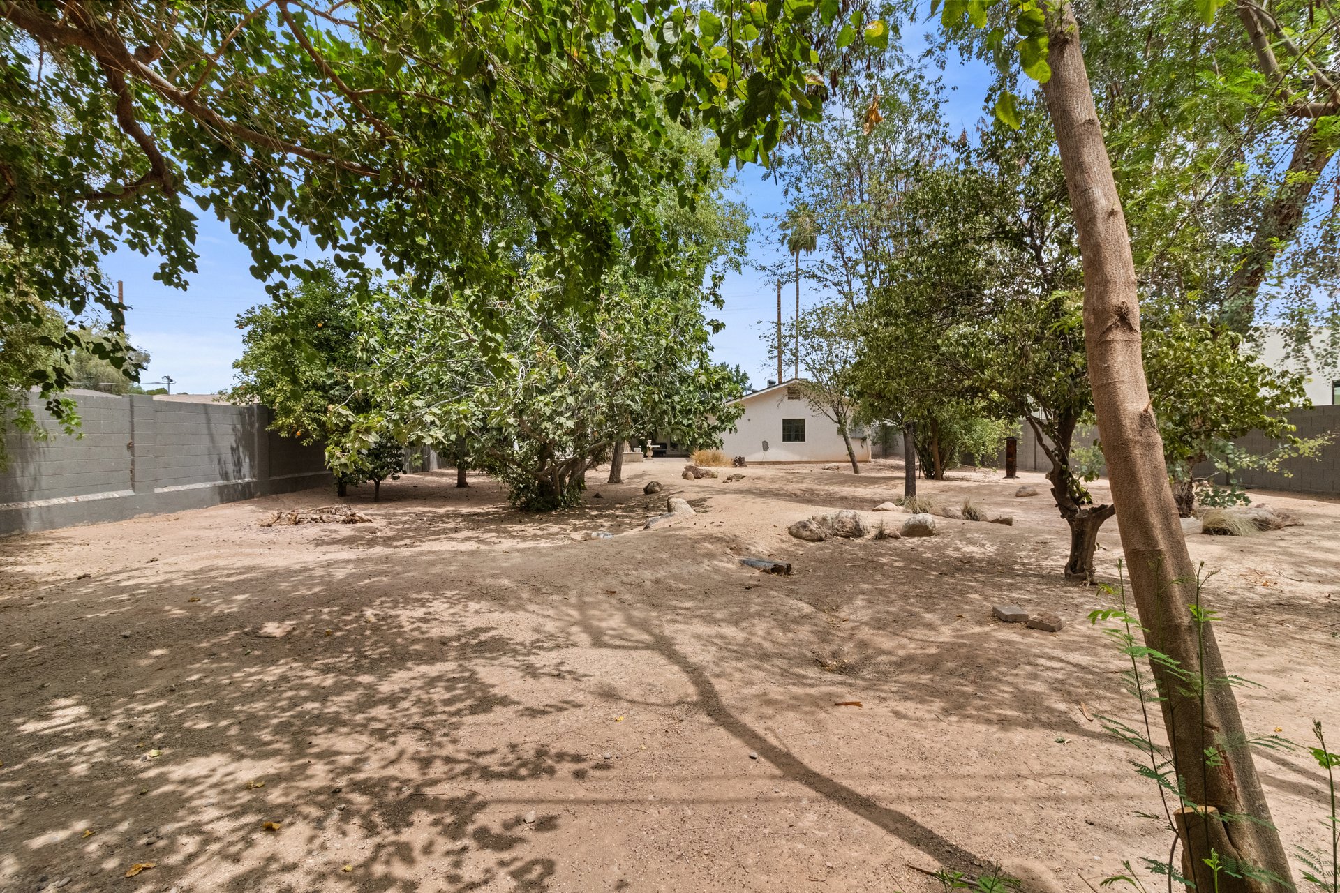 4025 E OSBORN Road