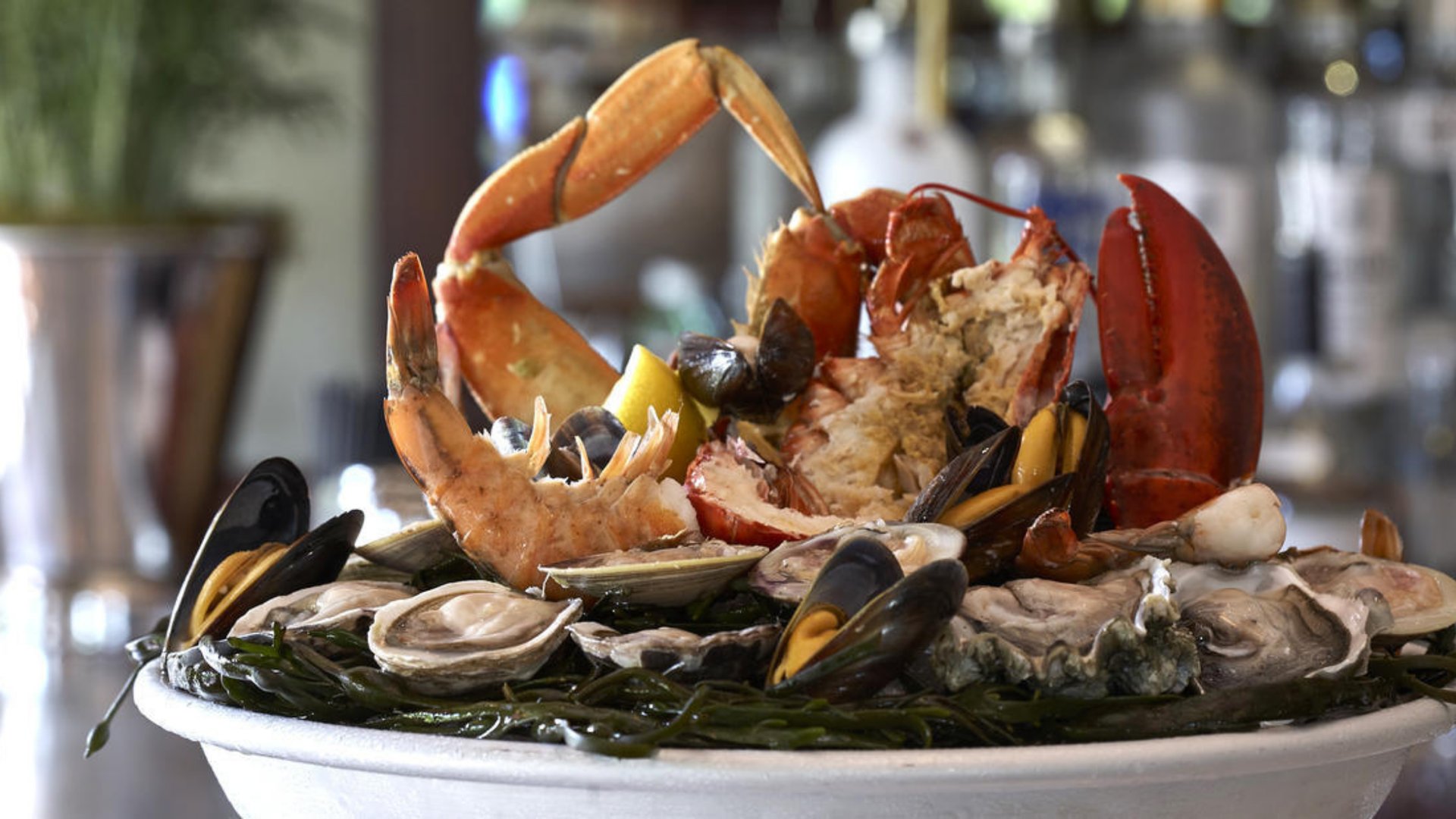 Luxurious raw bar platter with whole lobster, crab claws, fresh oysters and mussels on ice