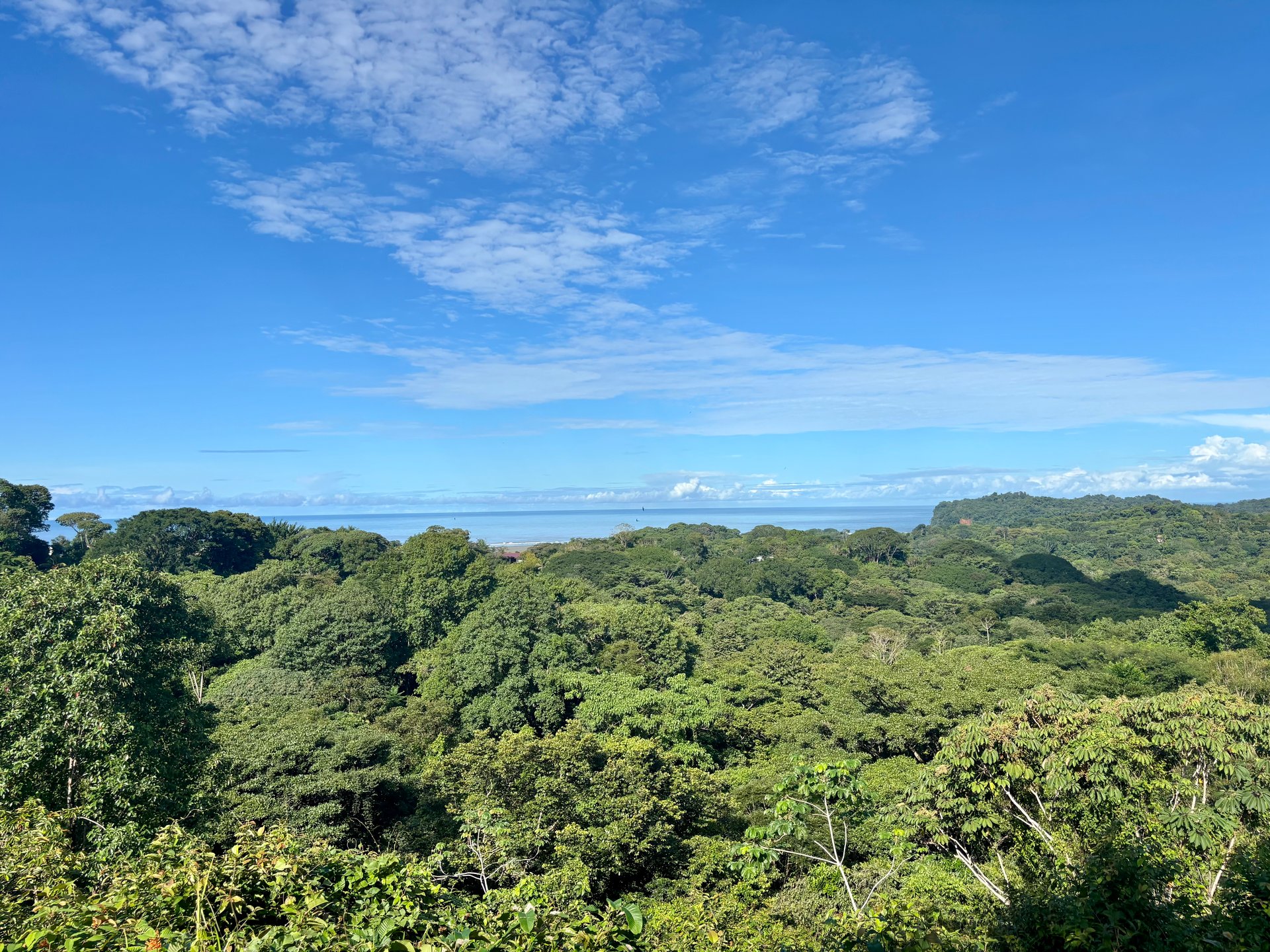 3.41 Acres, Ocean View Property In Ojochal With Legal Water!