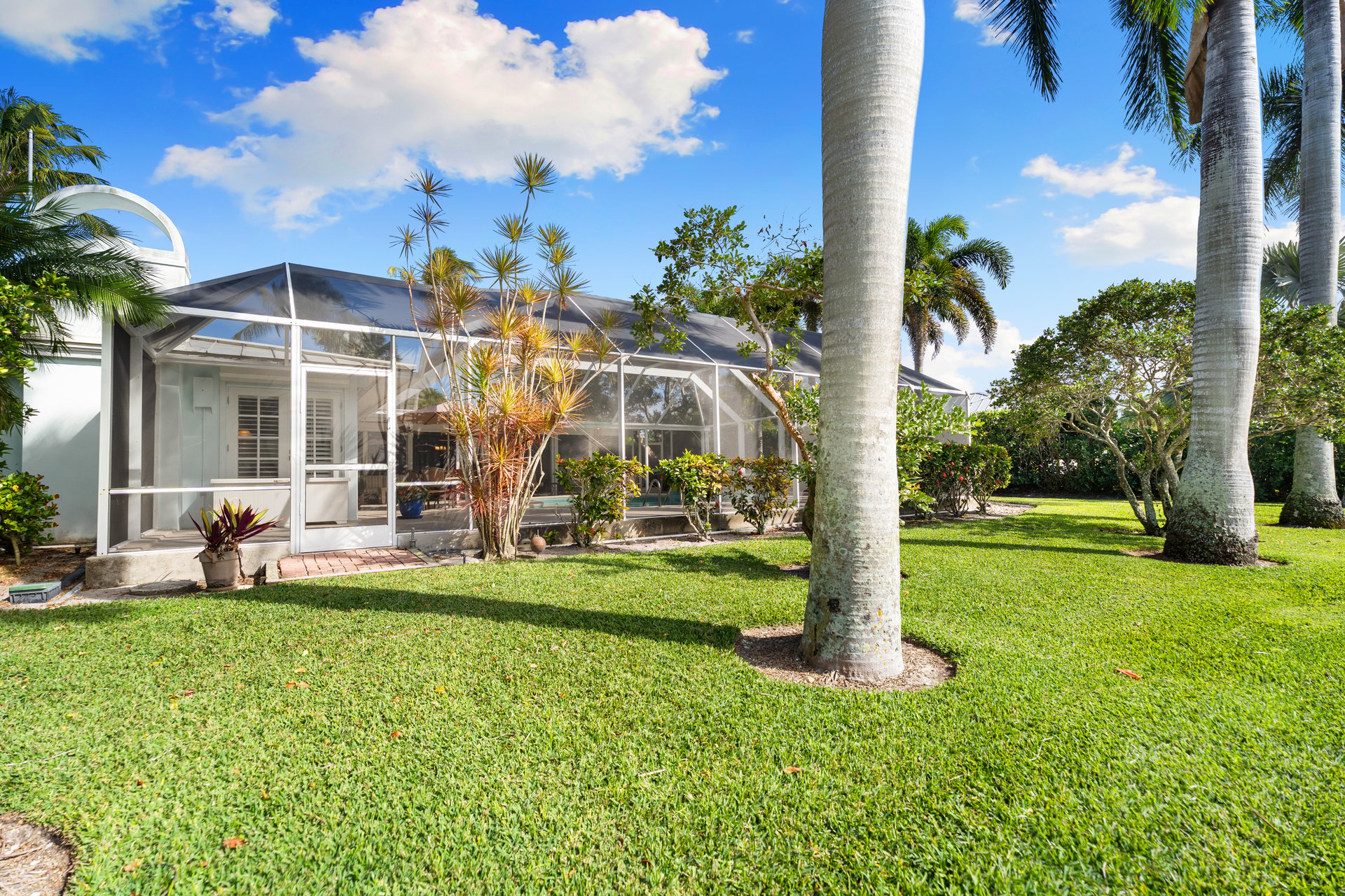 COQUINA SANDS