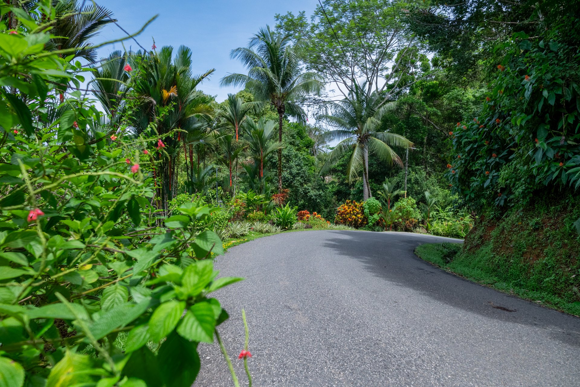 6.45 ACRES – 3 Bedroom Luxury Ocean View Home Surrounded By Vibrant Rainforest And Wildlife!!!