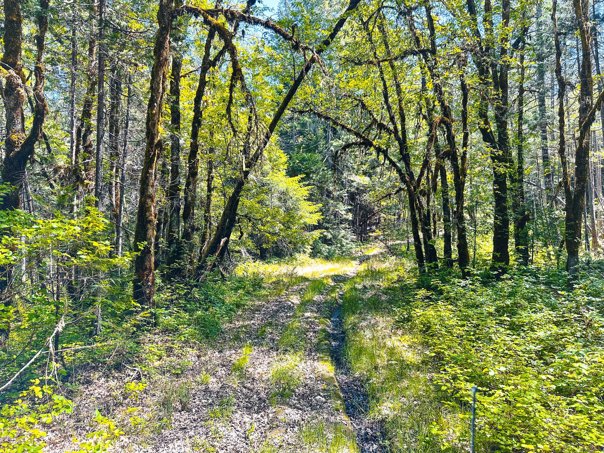 WAGON ROAD HOMESTEAD