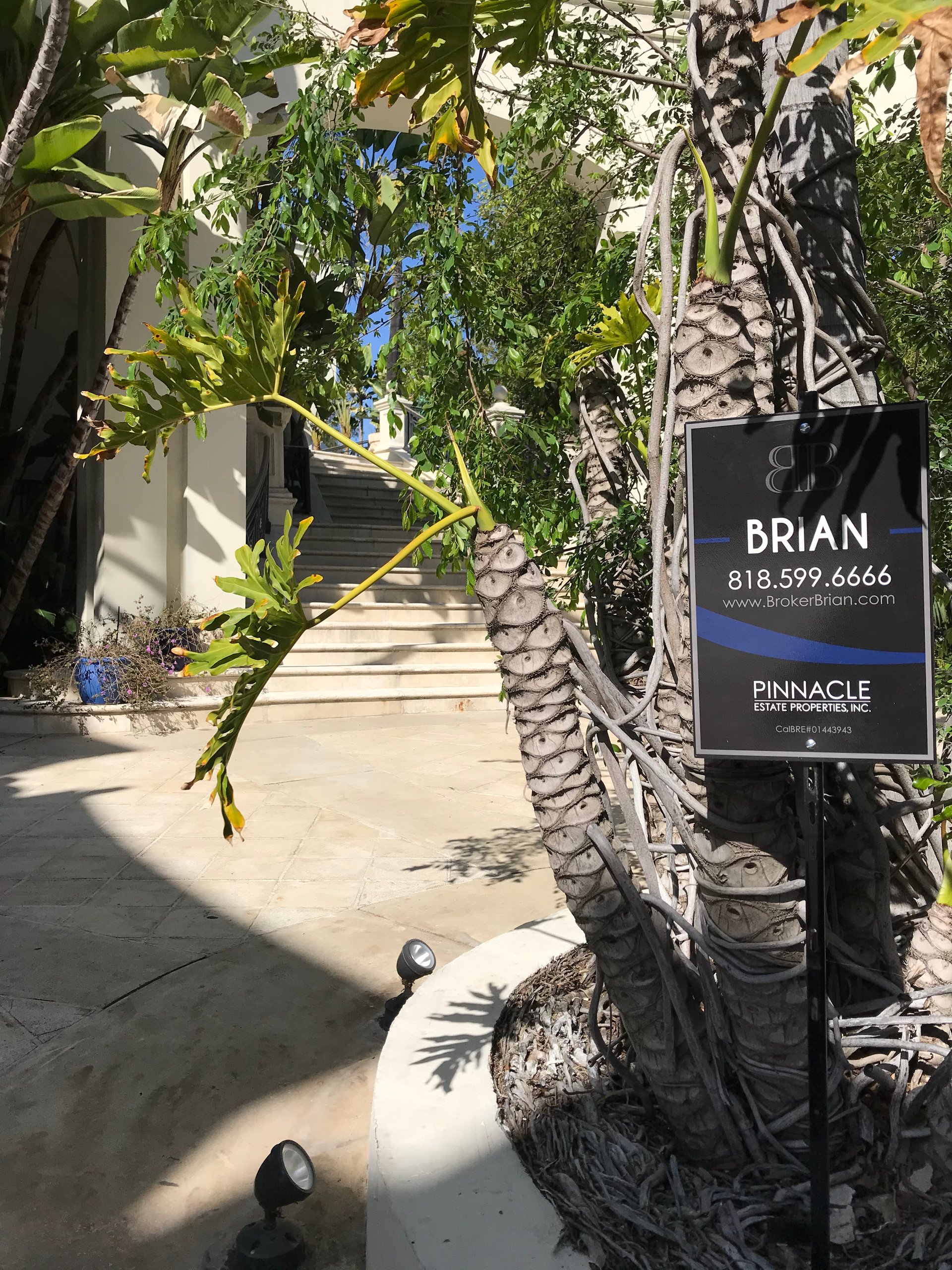 1235 Sierra Alta Way