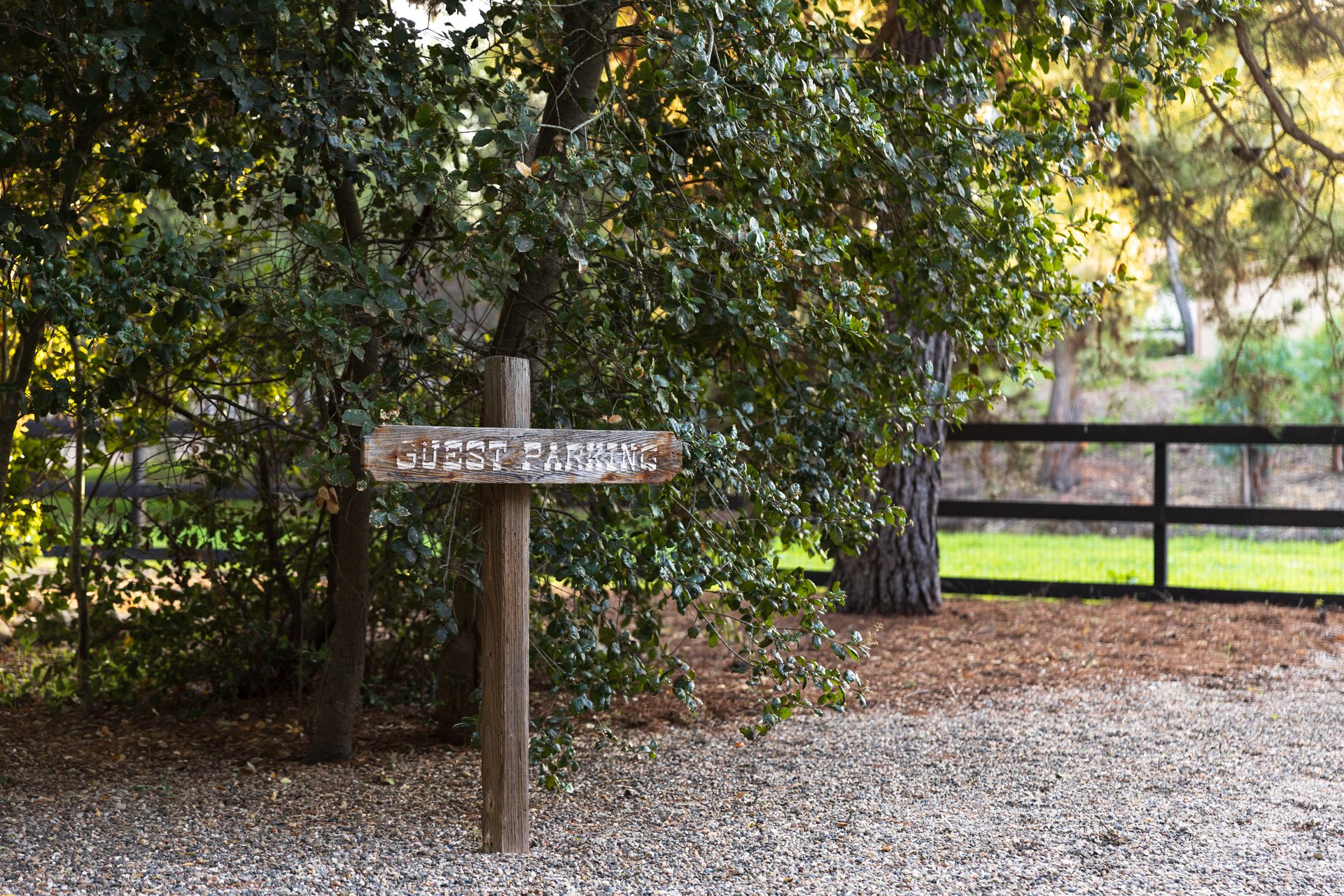 Private Mini Estate on 3+ Acres