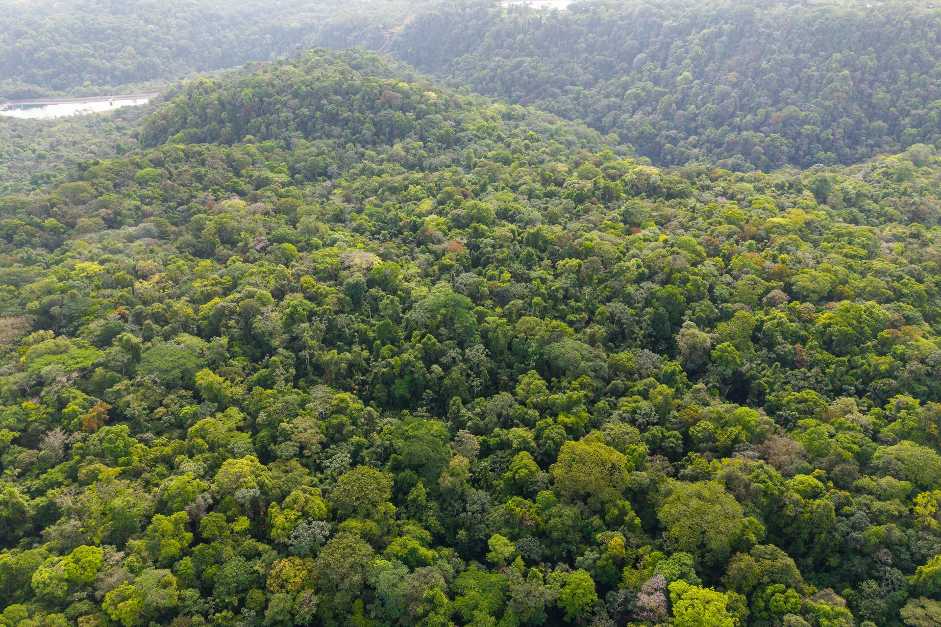 Finca Gran Bijagua | Breathtaking 10-Hectare Mountain Sanctuary in Bijagua, Costa Rica