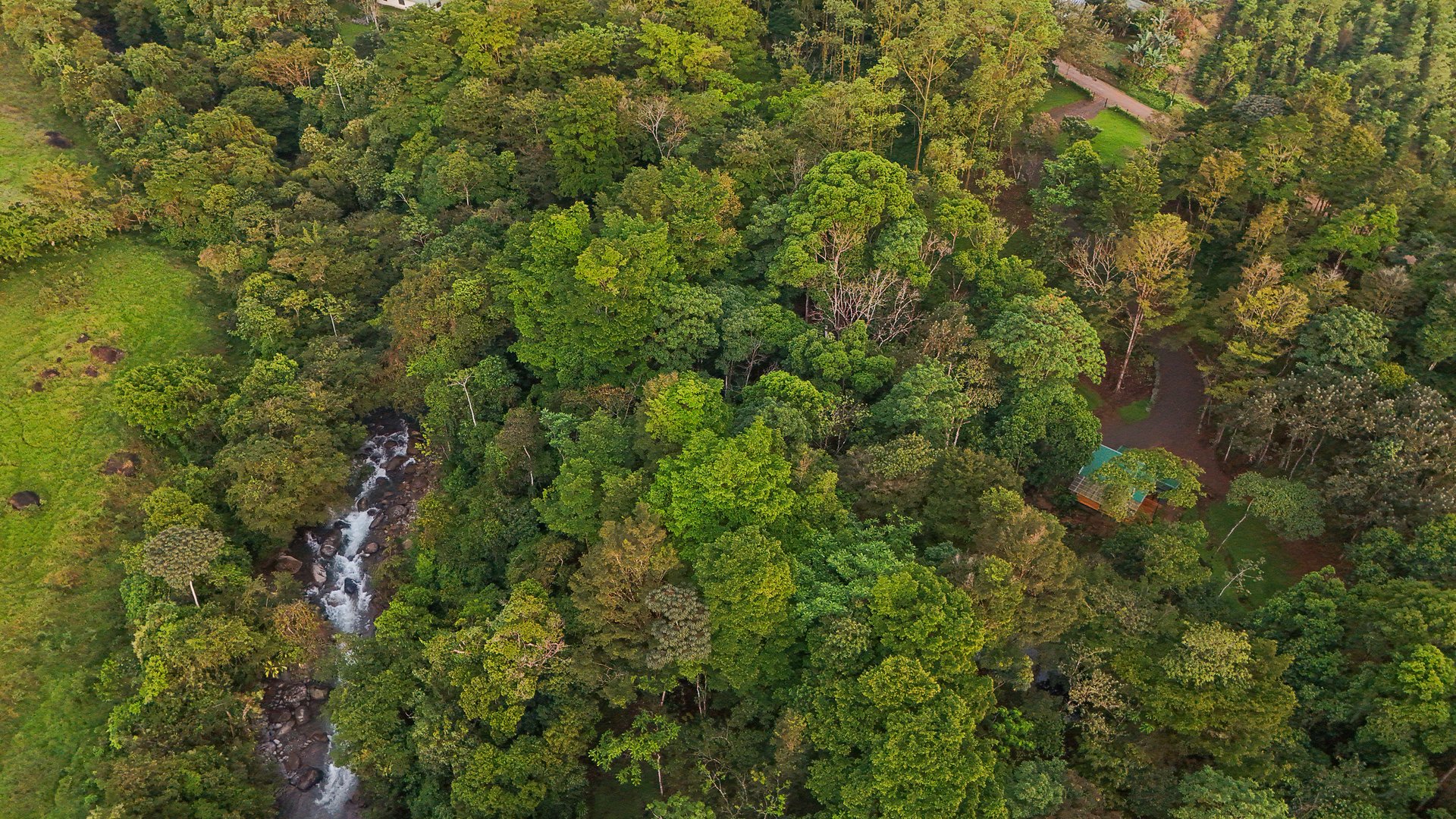 Costa Rica Mountain Retreat – 1.8 ha with Luxury Cabin, Private Lake & Riverfront