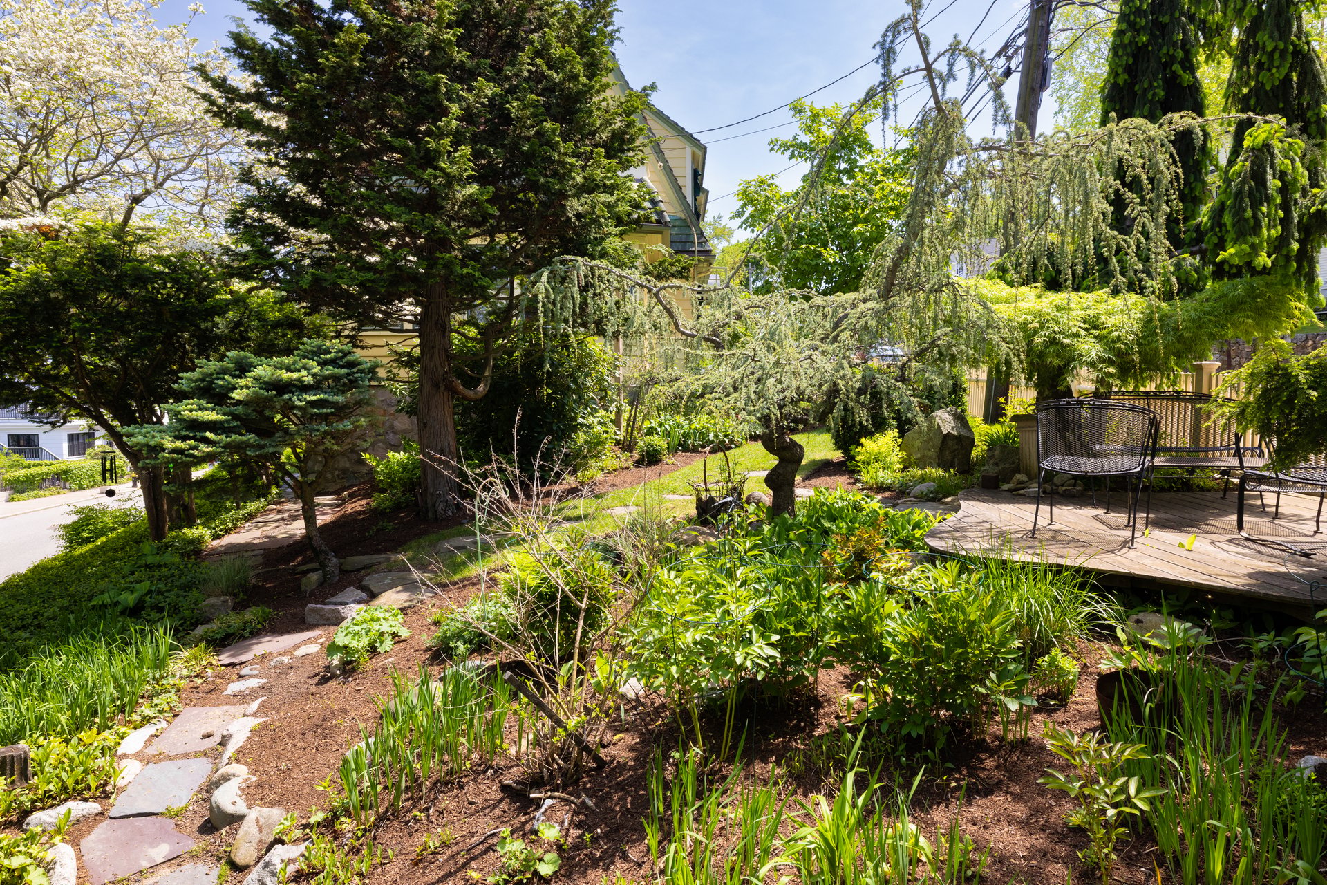 Moss Hill Single Family