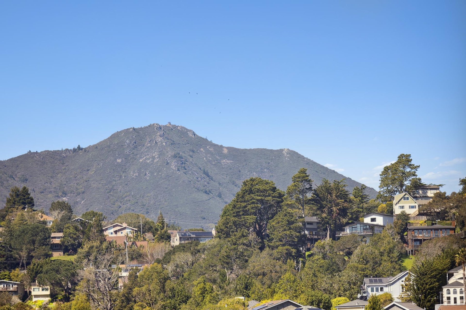 Custom-Built Mill Valley Masterpiece with Stunning Views
