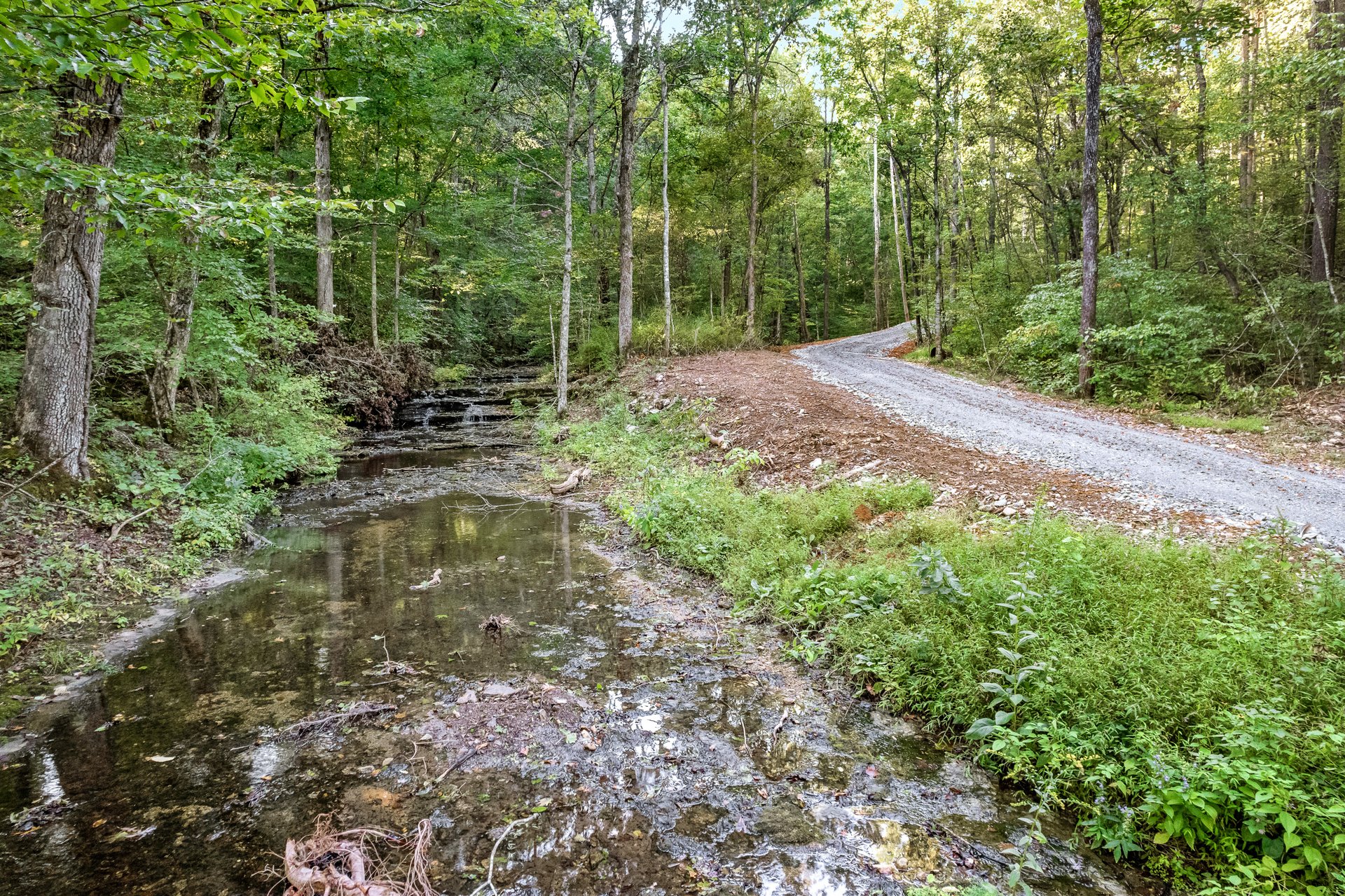 8192 Shoals Branch Road