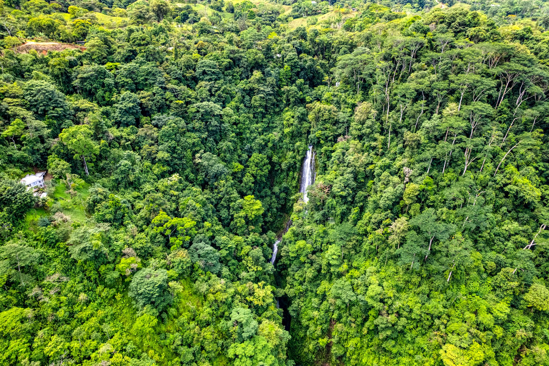 Once in a Lifetime Waterfall Farm in a Pristine Biological Corridor