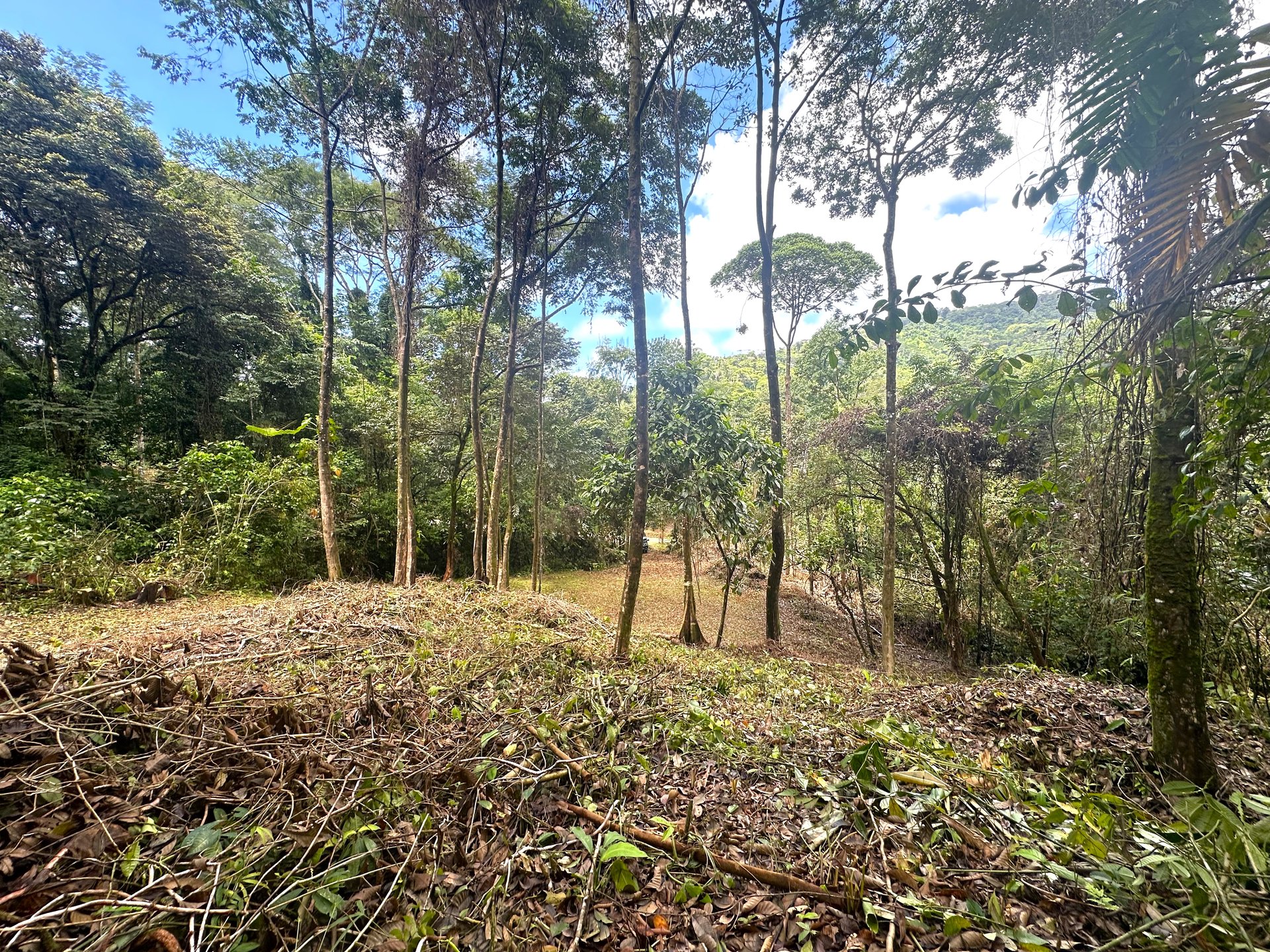 Mountain View Building Lot in Prestigious Gated Community With Private Waterfall & Two Building Sites