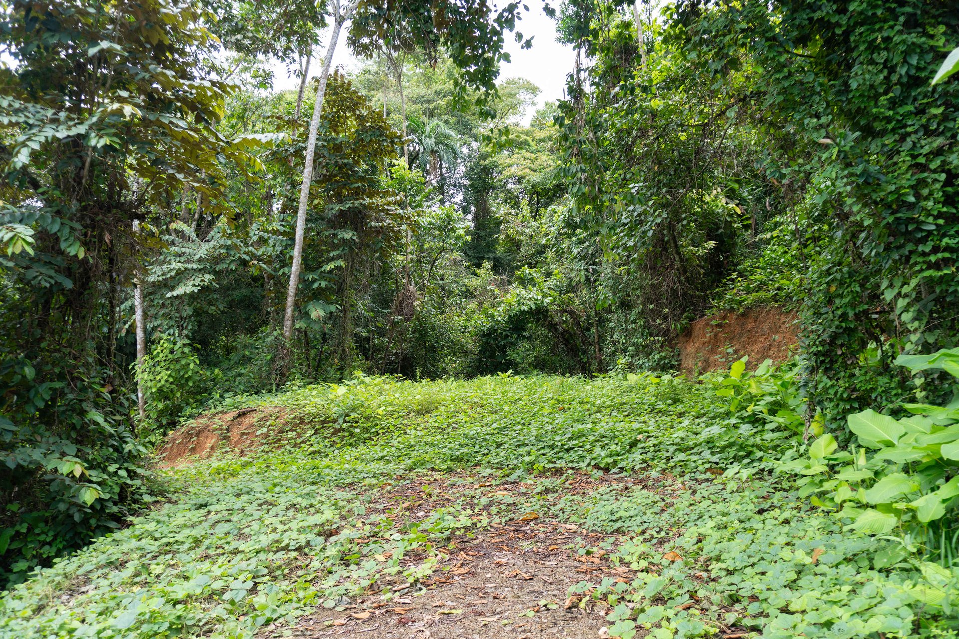 River frontage lot in desirable neighborhood in Uvita