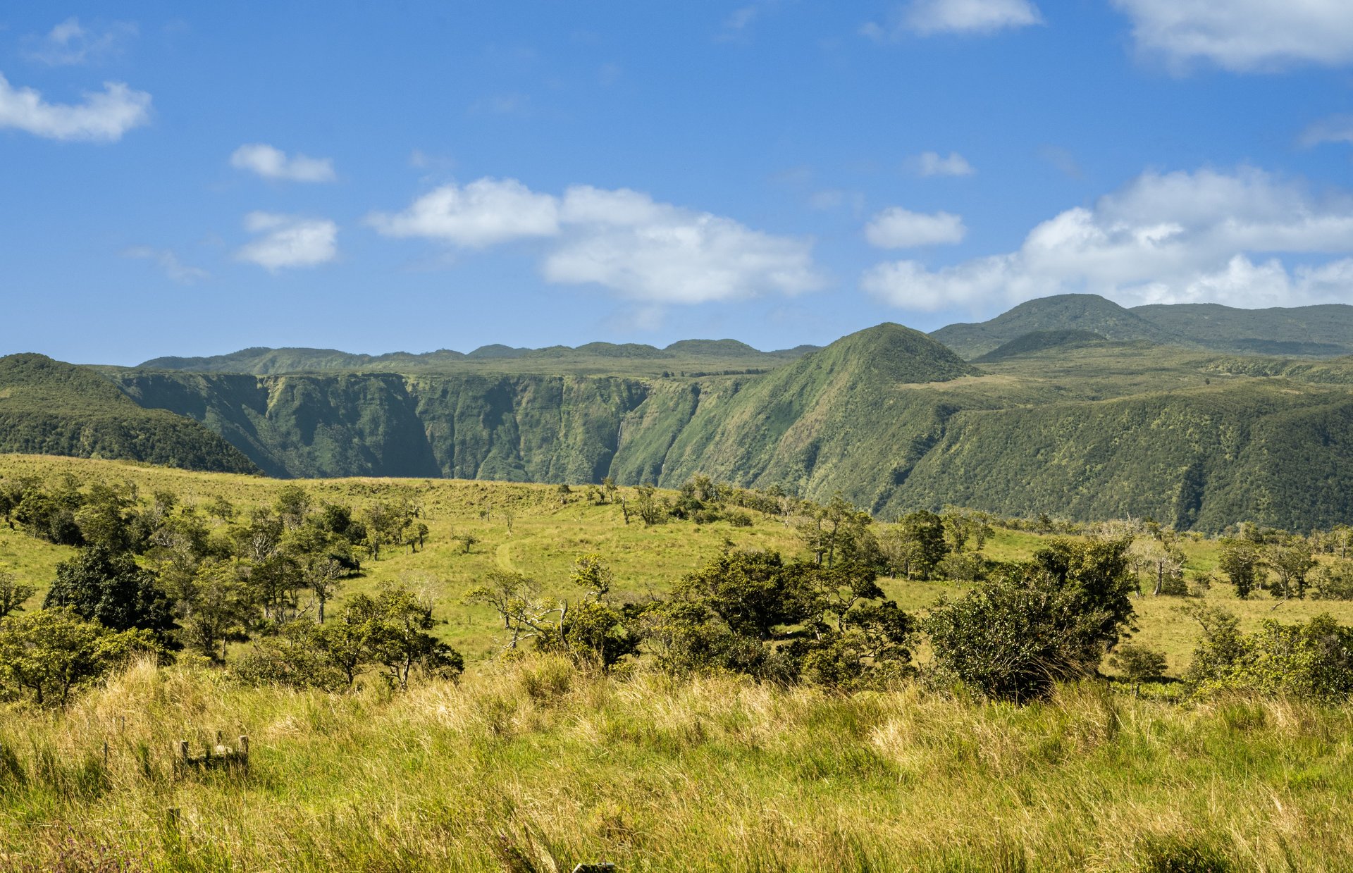 Waipi'o Valley Reserve