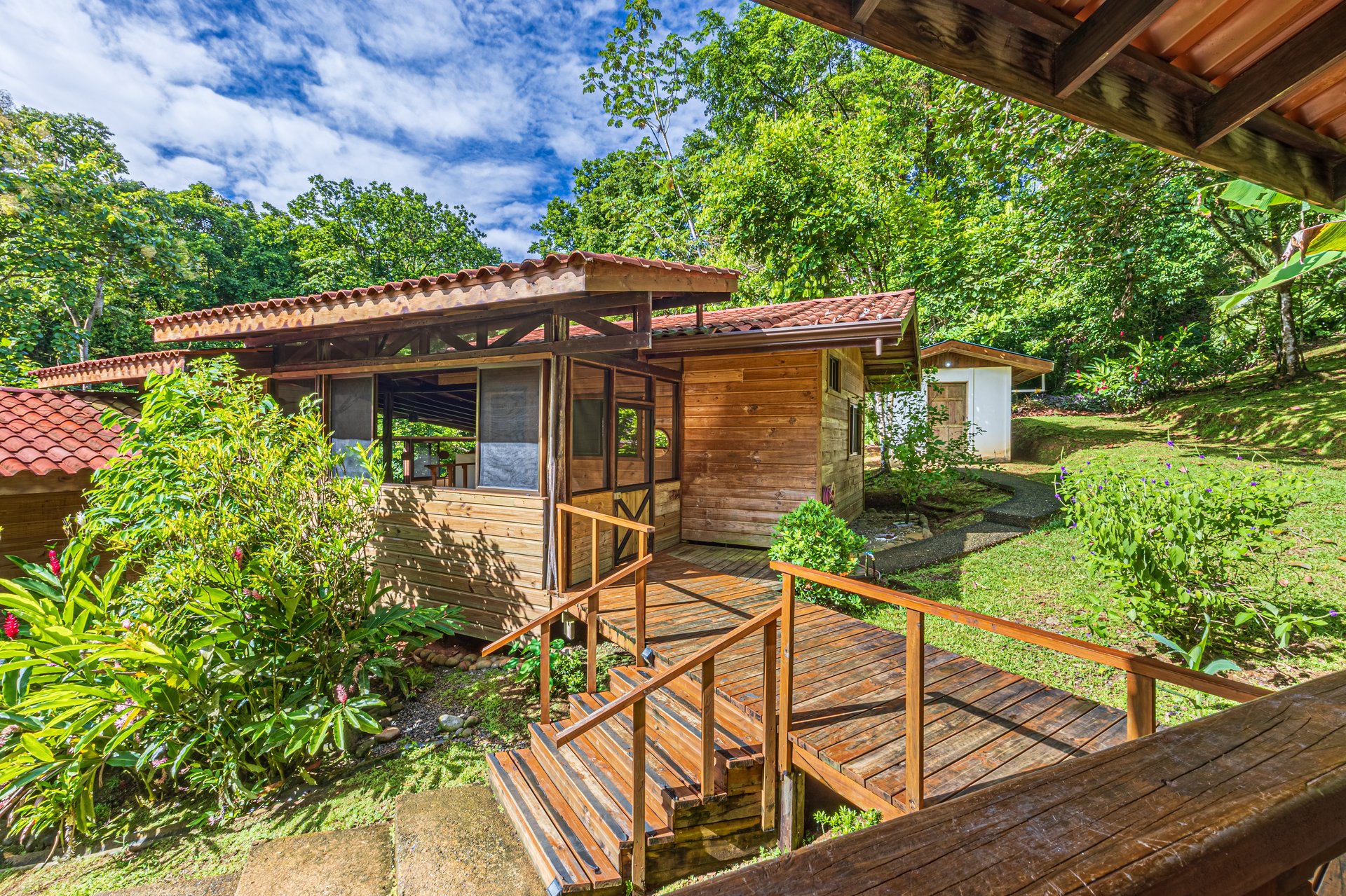 A Jungle House Built of Wood & River Dreams