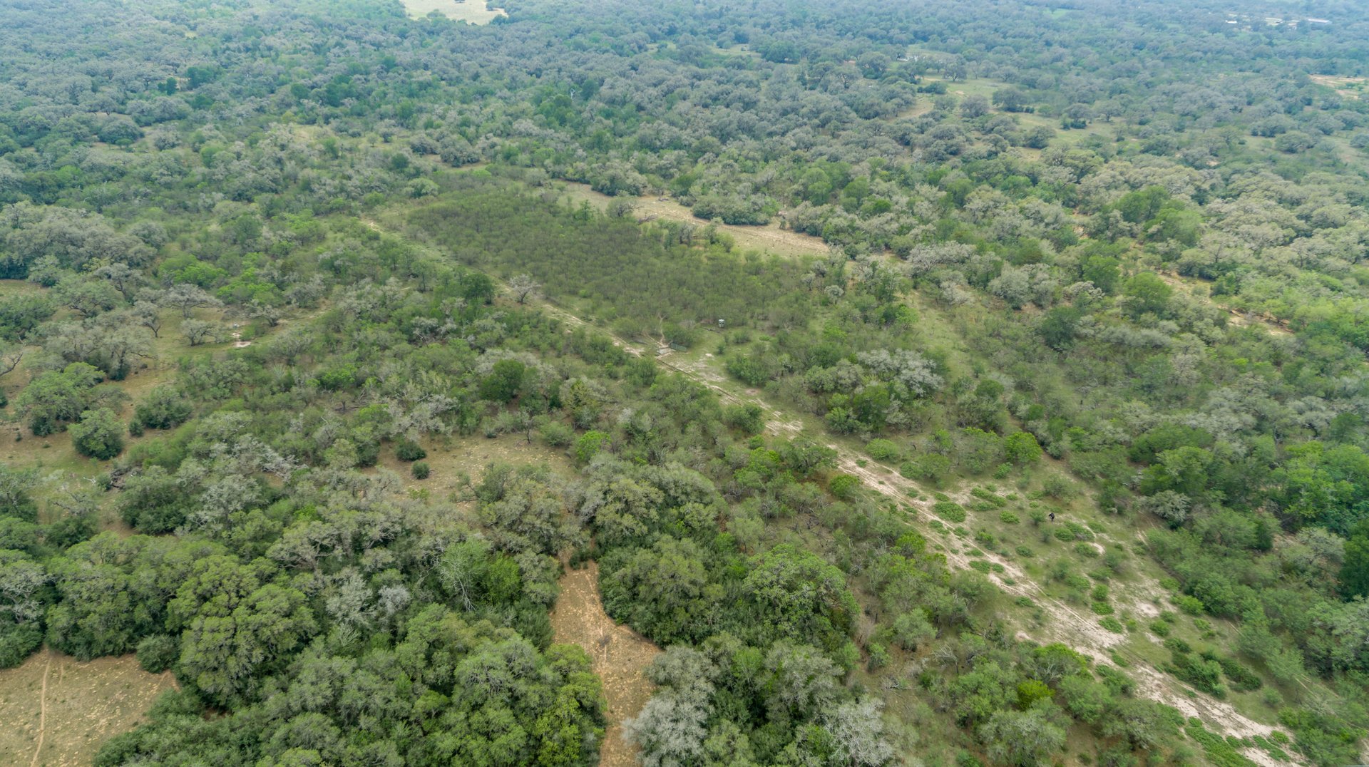 Five Mile Creek Reserve | 252.73± Acres-High Fence | DeWitt County, TX