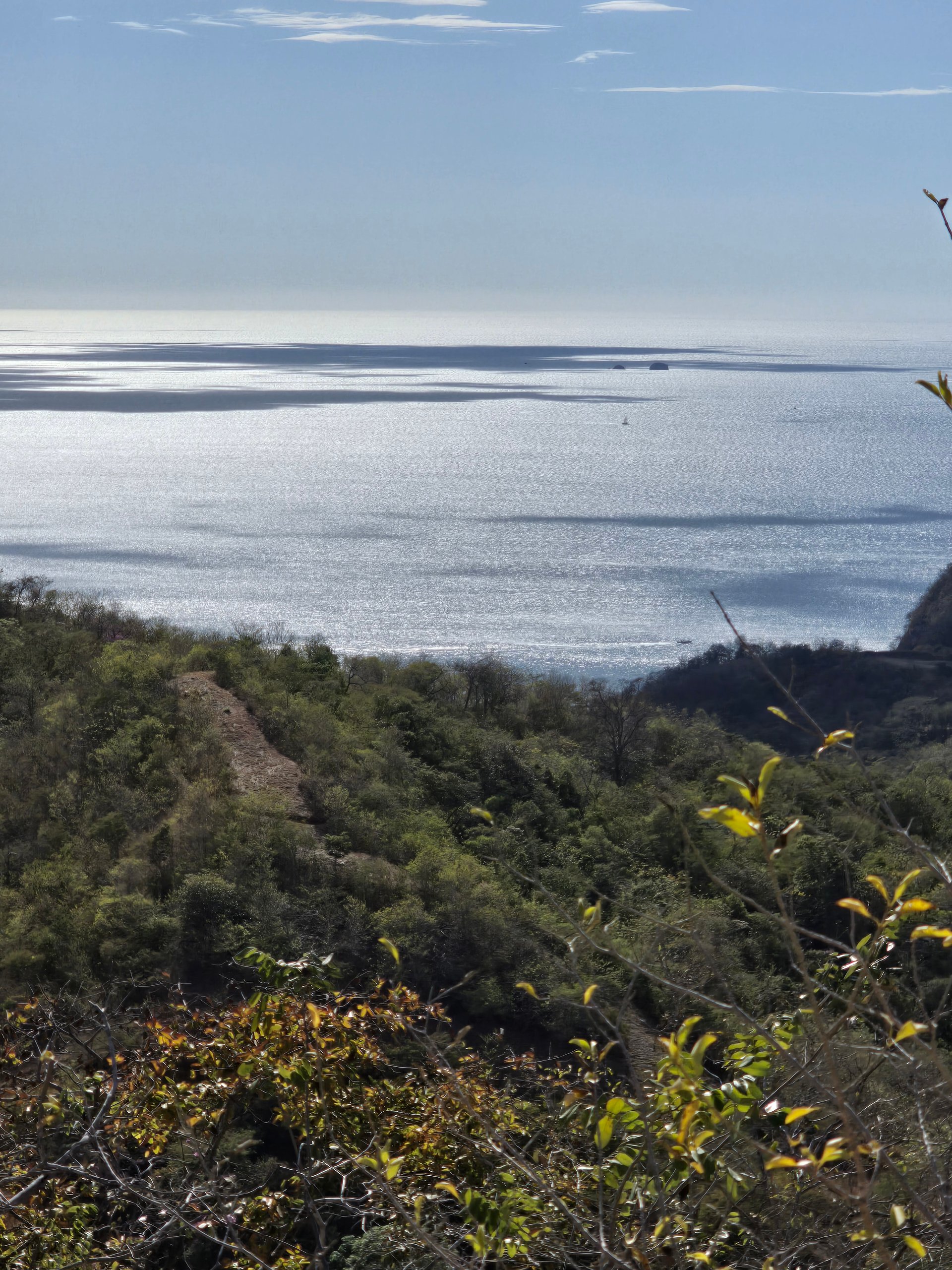 Vista Miramar Estate Lot, Pacific Heights