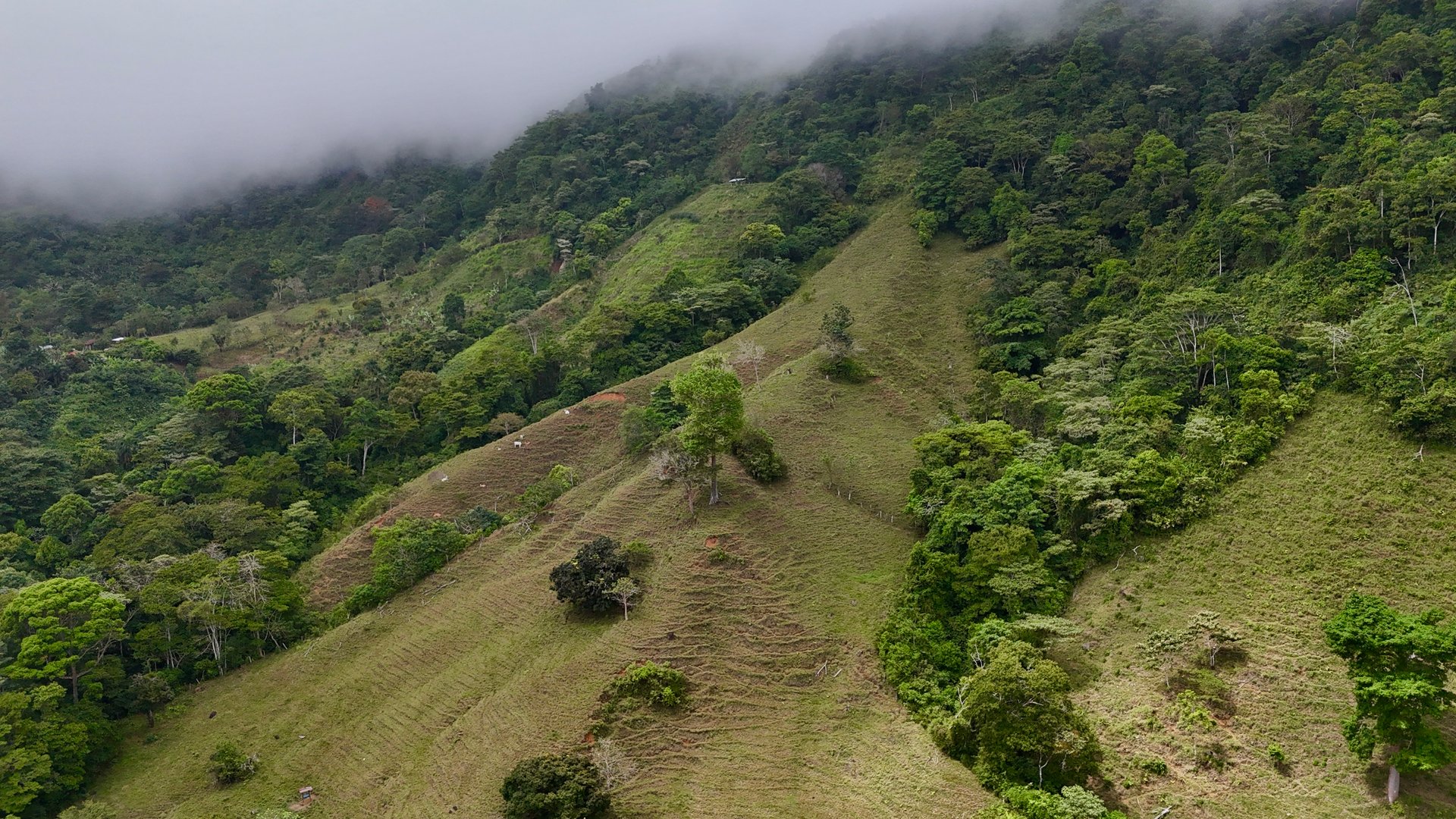 Gorgeous Land in San Luis Morete - Uvita - Over 17 Acres