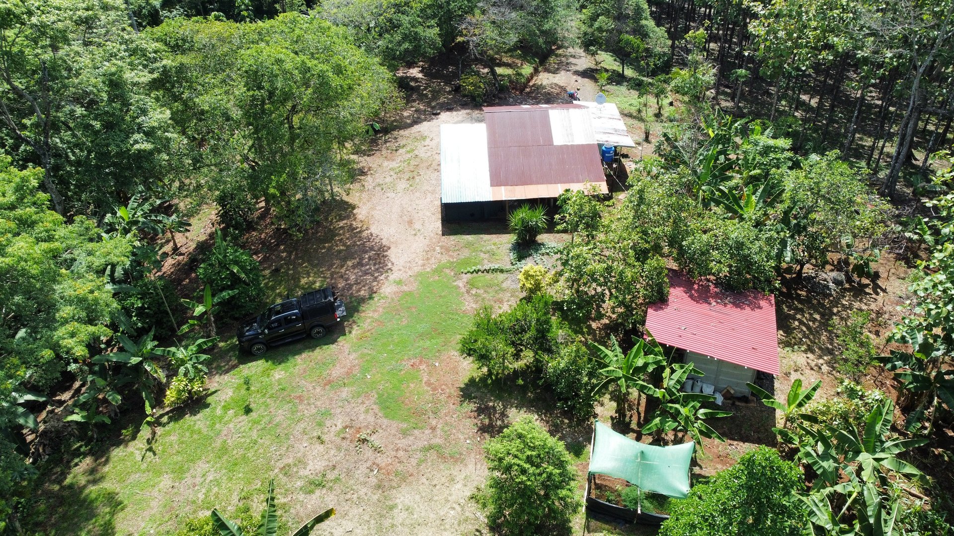 7-Hectare Farm with Teak Plantation, Existing Home & Eco-Development Potential Near Parrita, Costa Rica