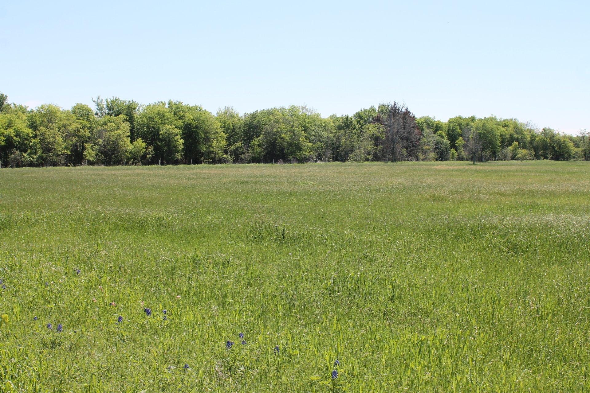 TBD Steinbeck Bend Dr