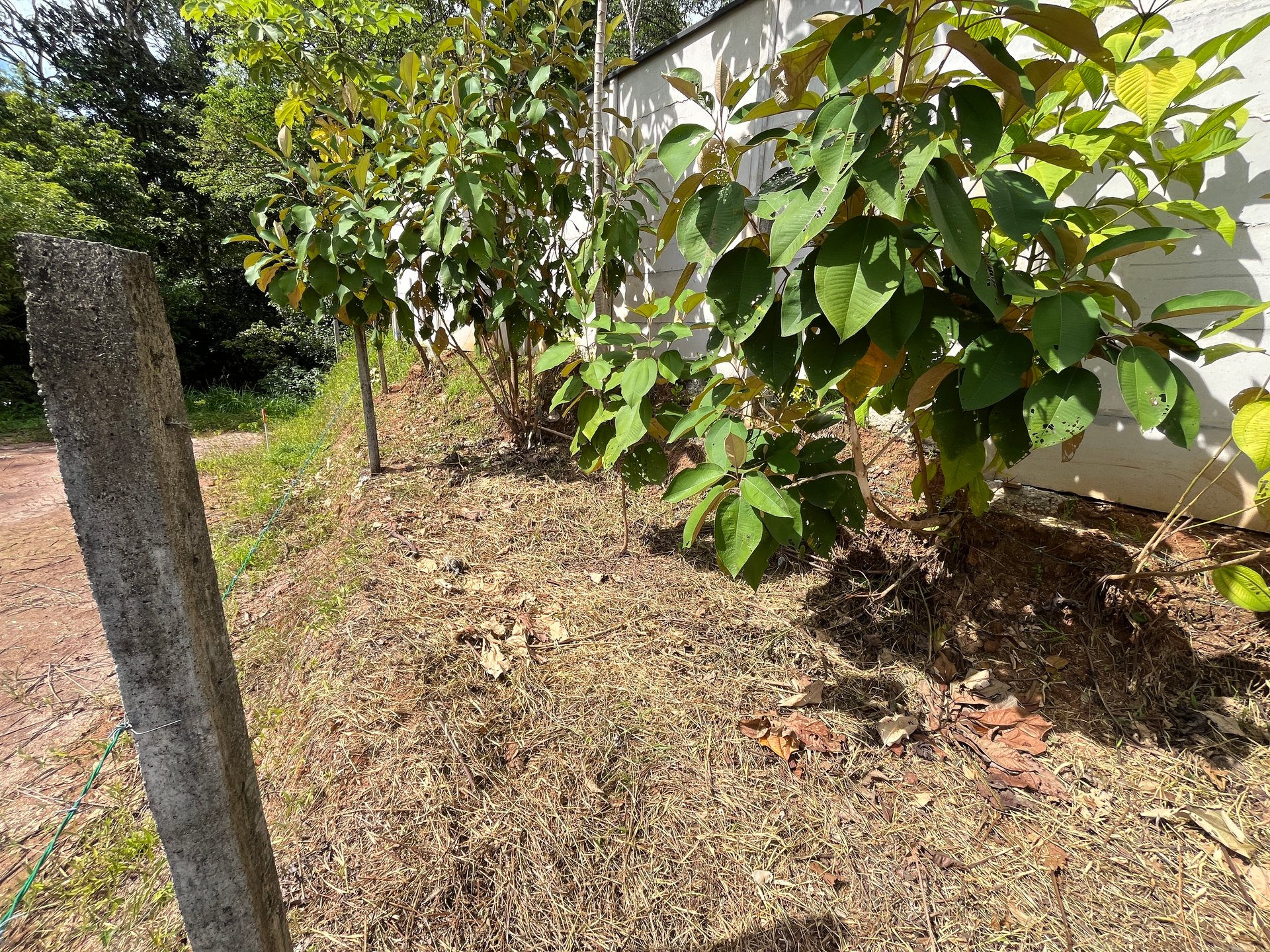 Affordable Uvita Lot UNDER $200-per-sqm - Perfect for Your Dream Home or Airbnb Investment
